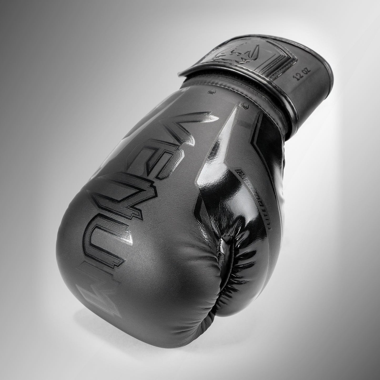 Gants de Boxe Venum Elite Evo - Noir/Noir - product-type_Gants de boxe