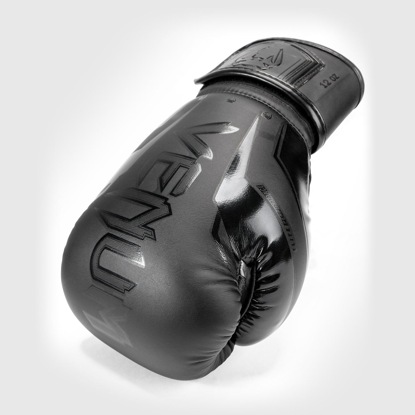 Gants de Boxe Venum Elite Evo - Noir/Noir - product-type_Gants de boxe