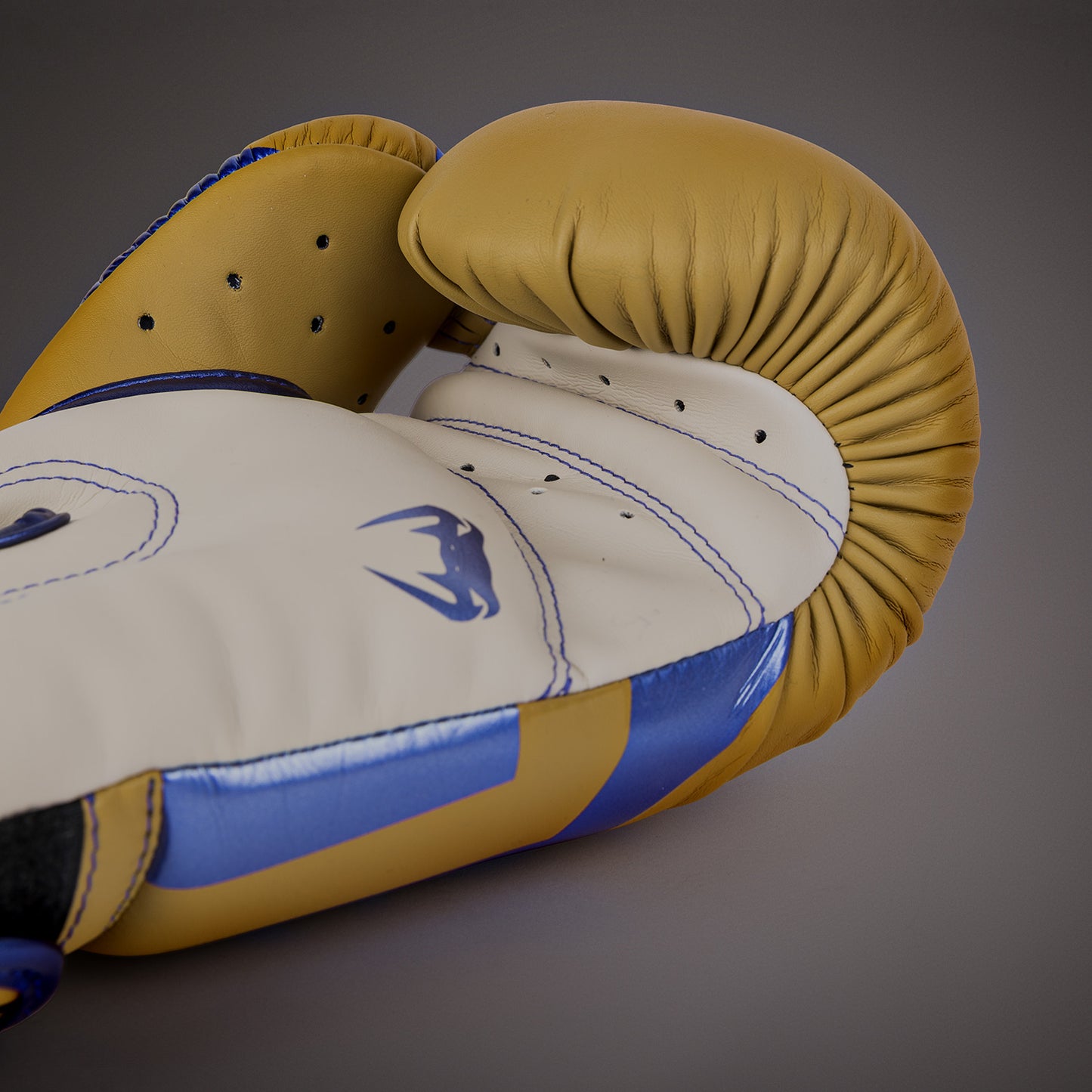 Gants de Boxe Venum Elite - Edition Spéciale - Camel - product-type_Gants de boxe
