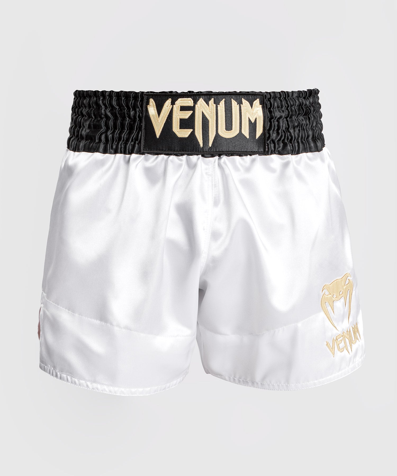 Equipement et vetement Venum : short, tshirt, gants Venum MMA