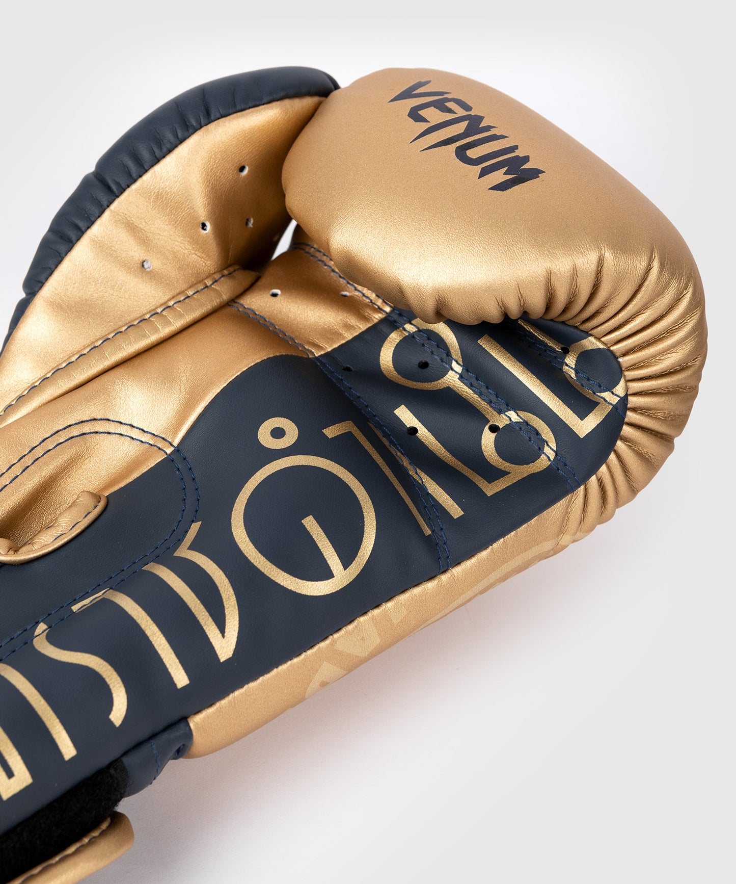 Gants de boxe Venum RAJADAMNERN - Sable - Gants de boxe