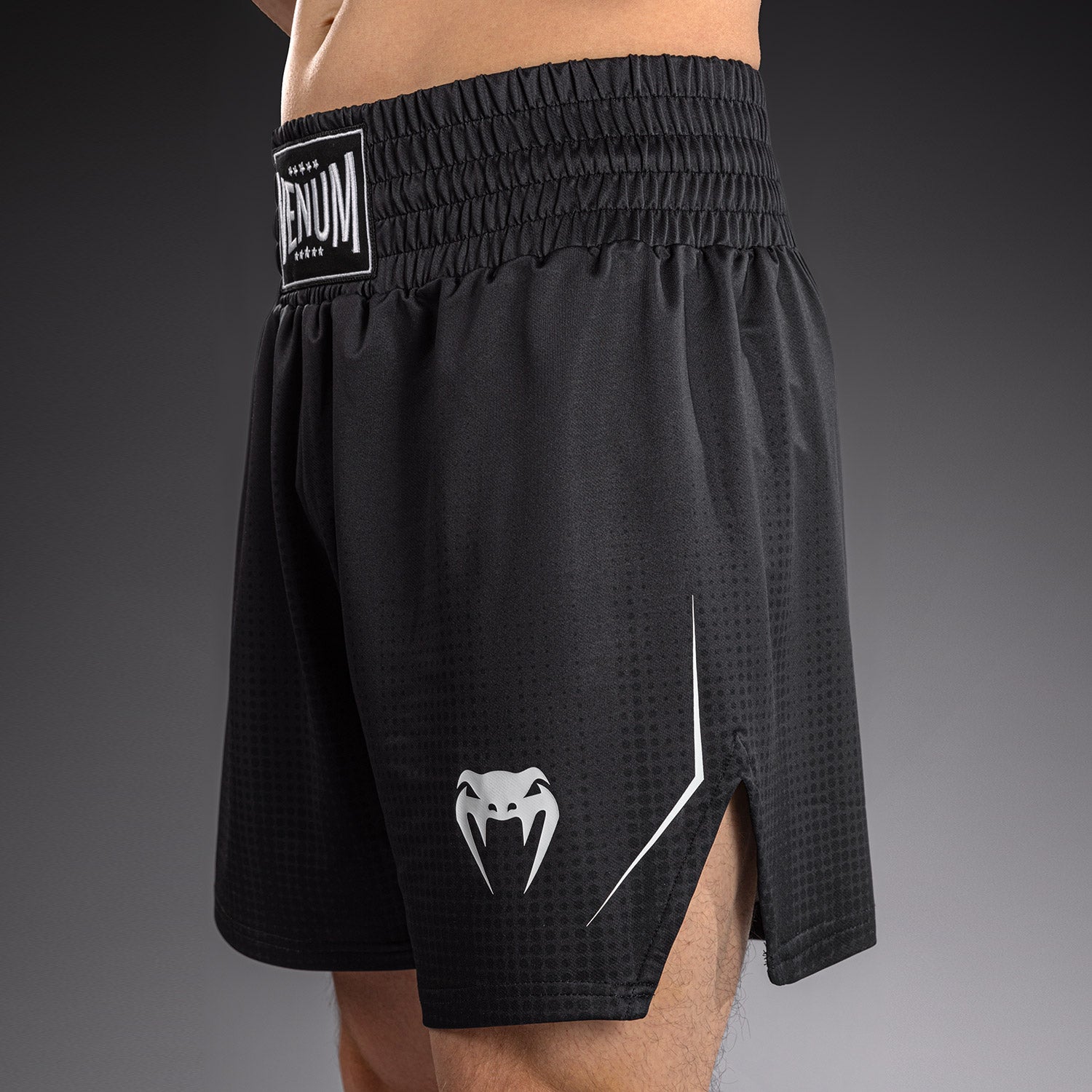 Short de Boxe Venum Stealth – Noir/Blanc - product-type_Shorts de boxe