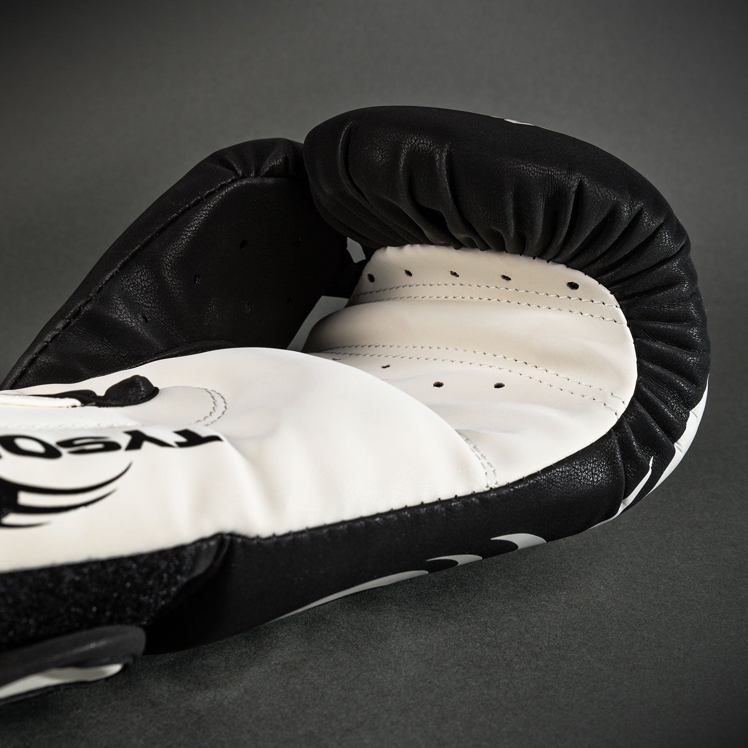 Gants de Boxe Venum Mike Tyson Replica - Noir Profond/Blanc Optique - product-type_Gants de boxe