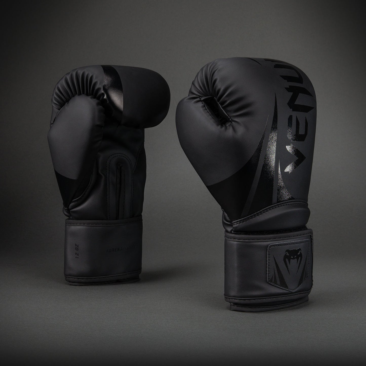 Gants de Boxe Venum Challenger 2.5 – Noir/Noir