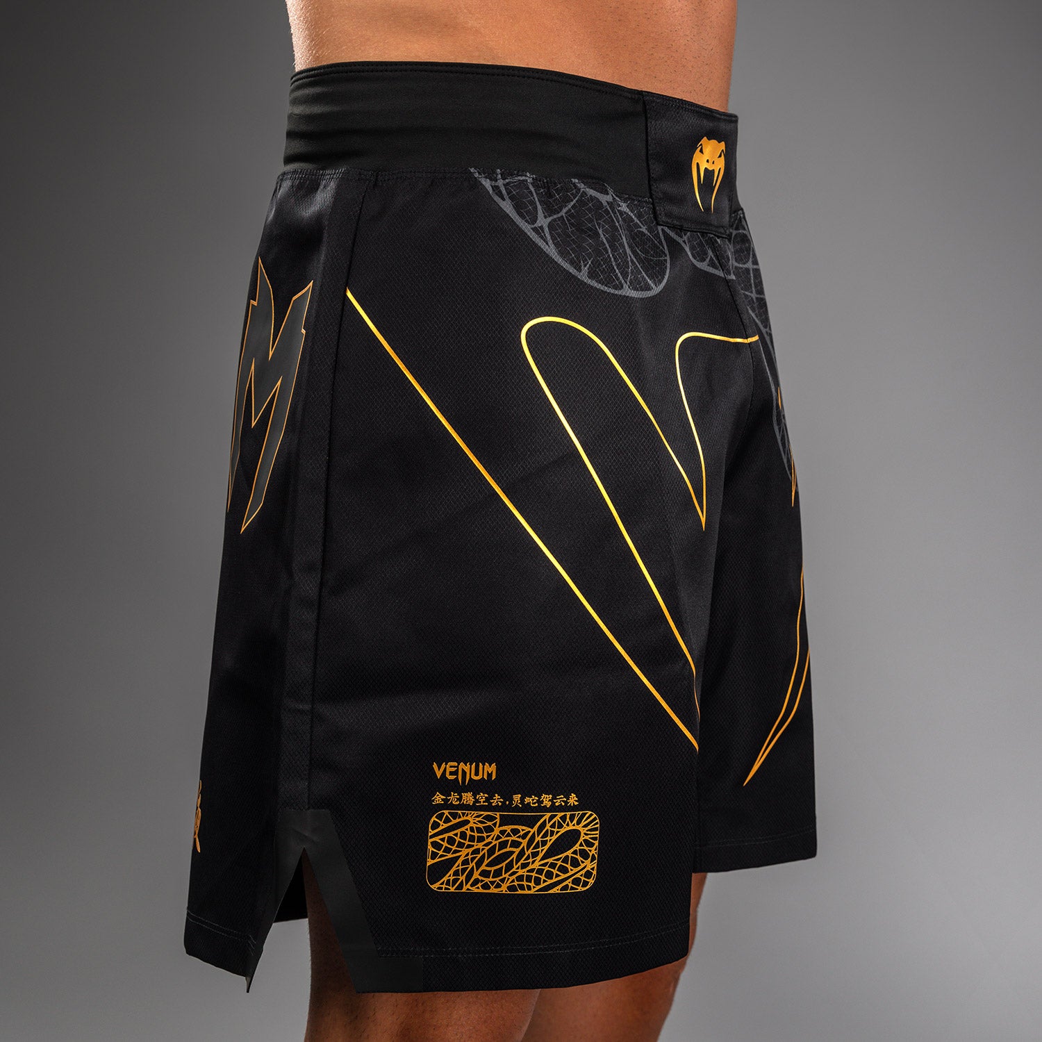 Short de Combat Venum Serpenti – Noir/Argent/Or - product-type_Shorts de MMA