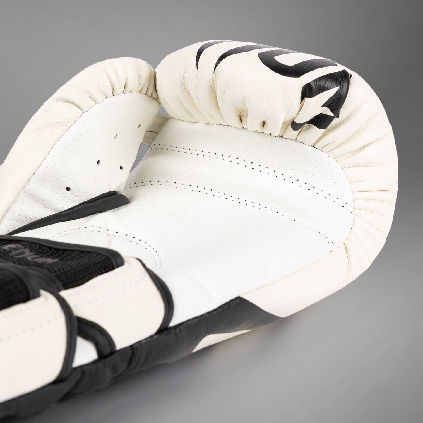 Gants de Boxe Venum Reverso - Blanc Neige/Noir - product-type_Gants de boxe