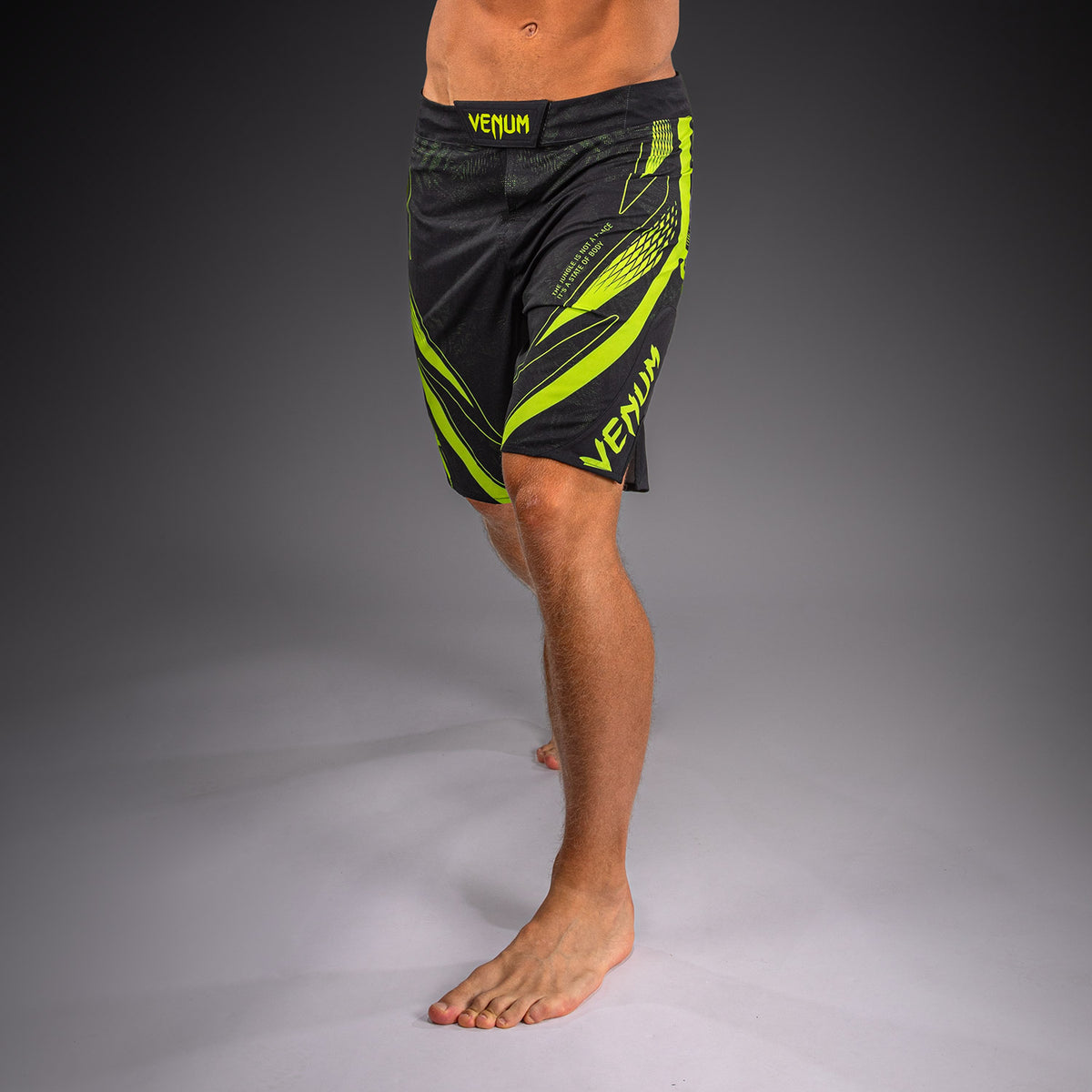 Short de MMA Venum Amazonia Reborn - Noir/Vert