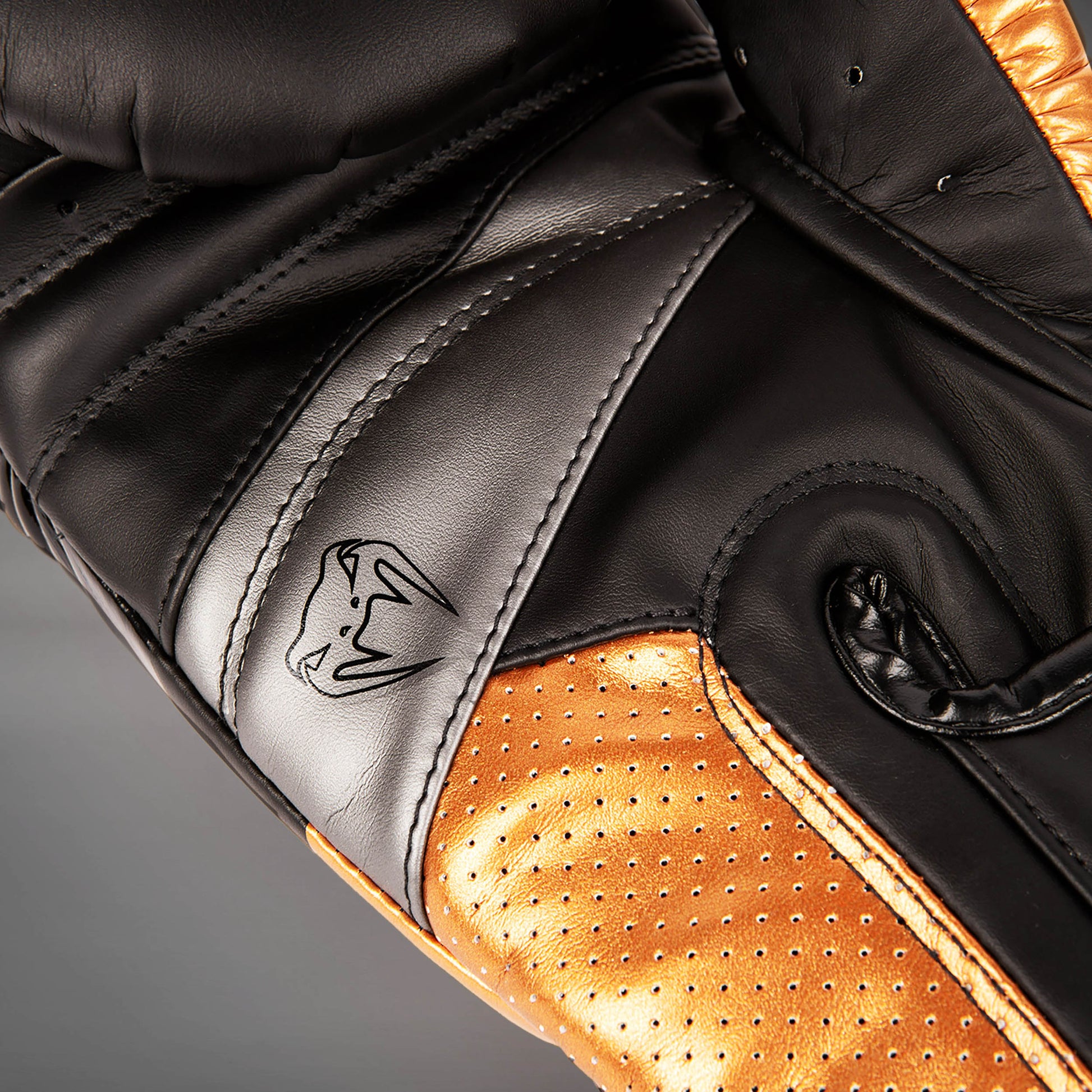 Gants de Boxe Venum Elite Evo - Noir/Bronze - product-type_Gants de boxe