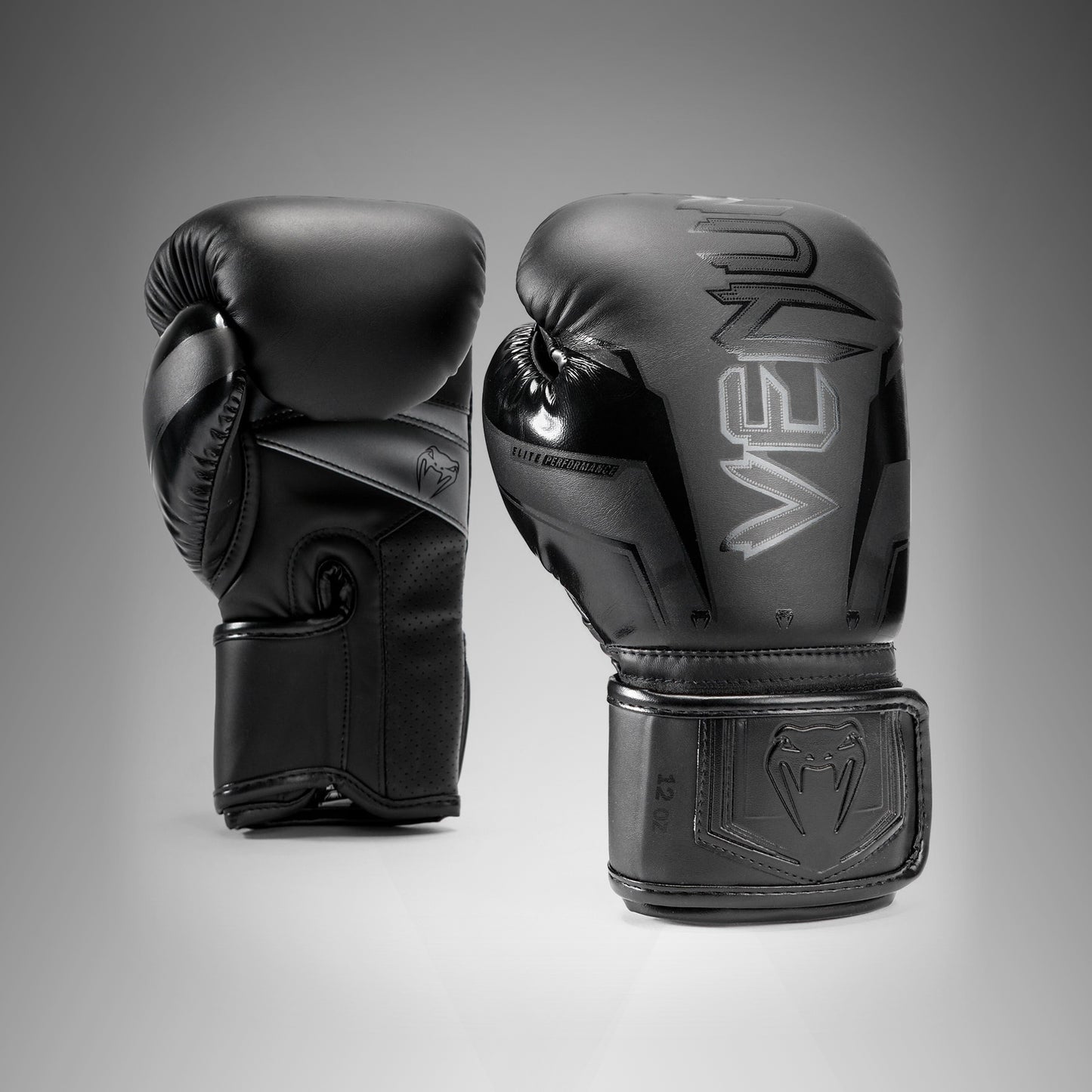 Gants de Boxe Venum Elite Evo - Noir/Noir - product-type_Gants de boxe