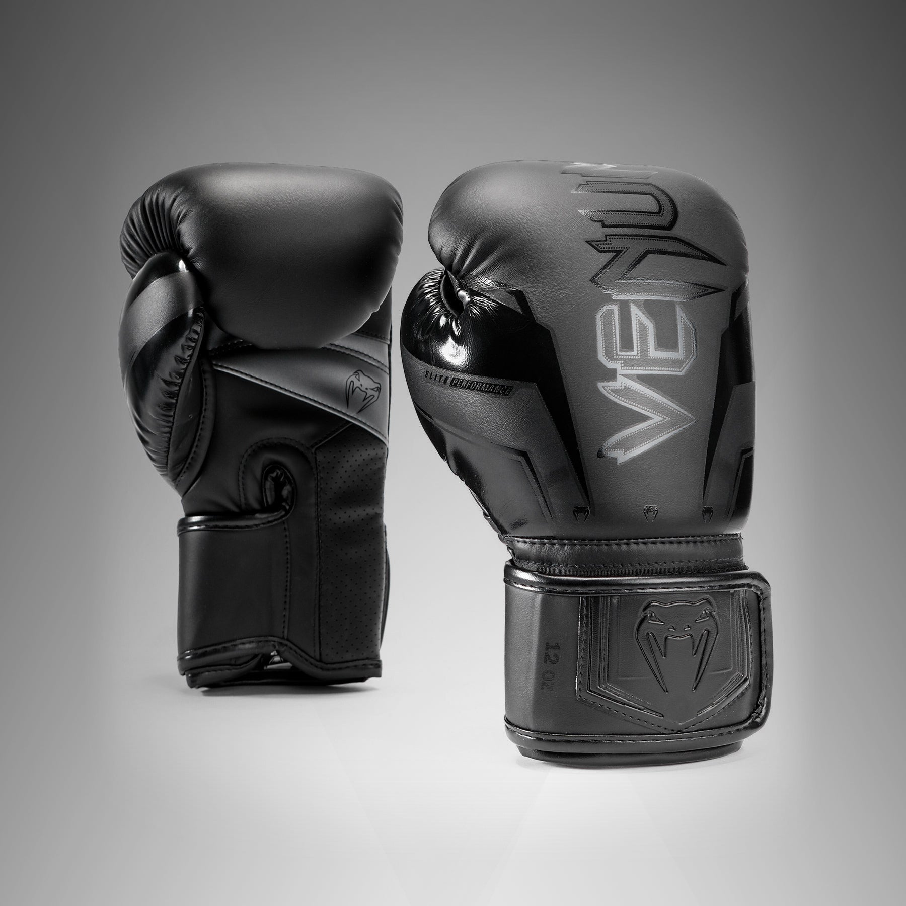 Gants de Boxe Venum Elite Evo - Noir/Noir - product-type_Gants de boxe