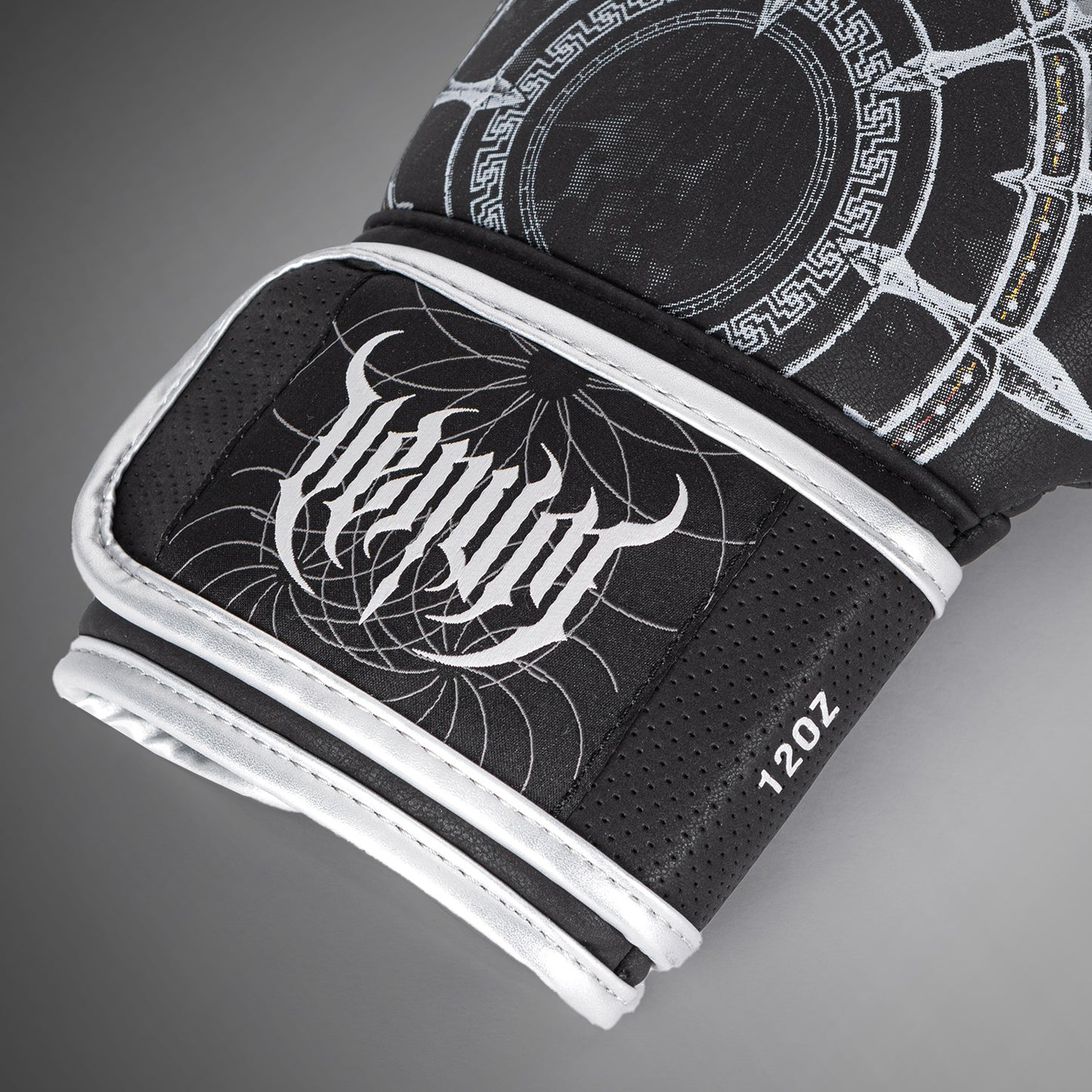 Gants de Boxe Venum Gladiator 5.0 - Noir/Argent - product-type_Gants de boxe