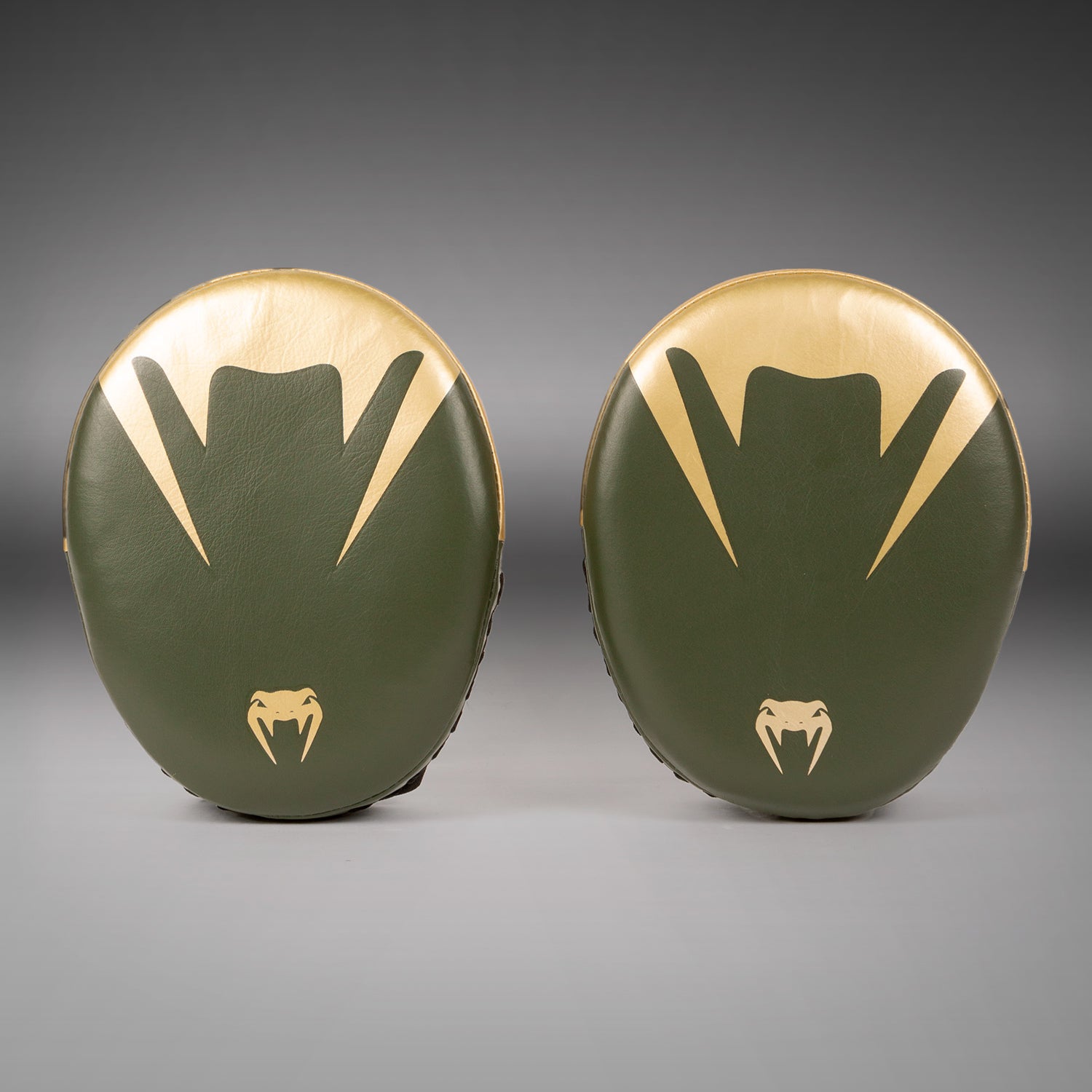 Pattes D'Ours De Boxe Beast Gear
