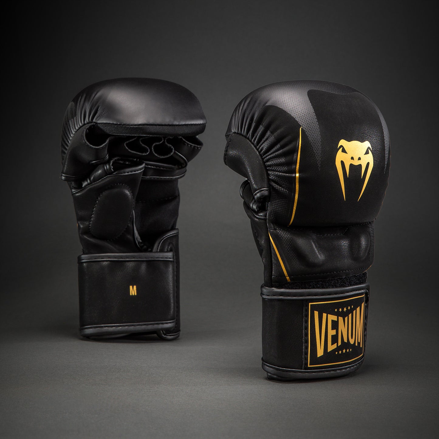 Gants de sparring Venum G-Core - Noir/Or