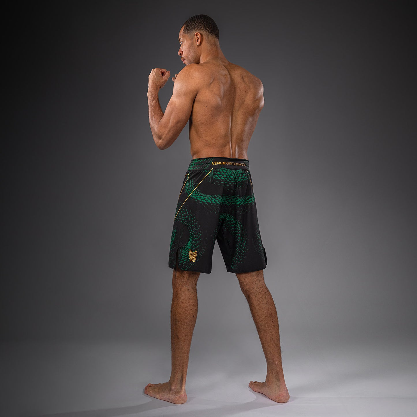 Short de Combat Venum Matupa - Noir/Vert/Or - product-type_Shorts de MMA