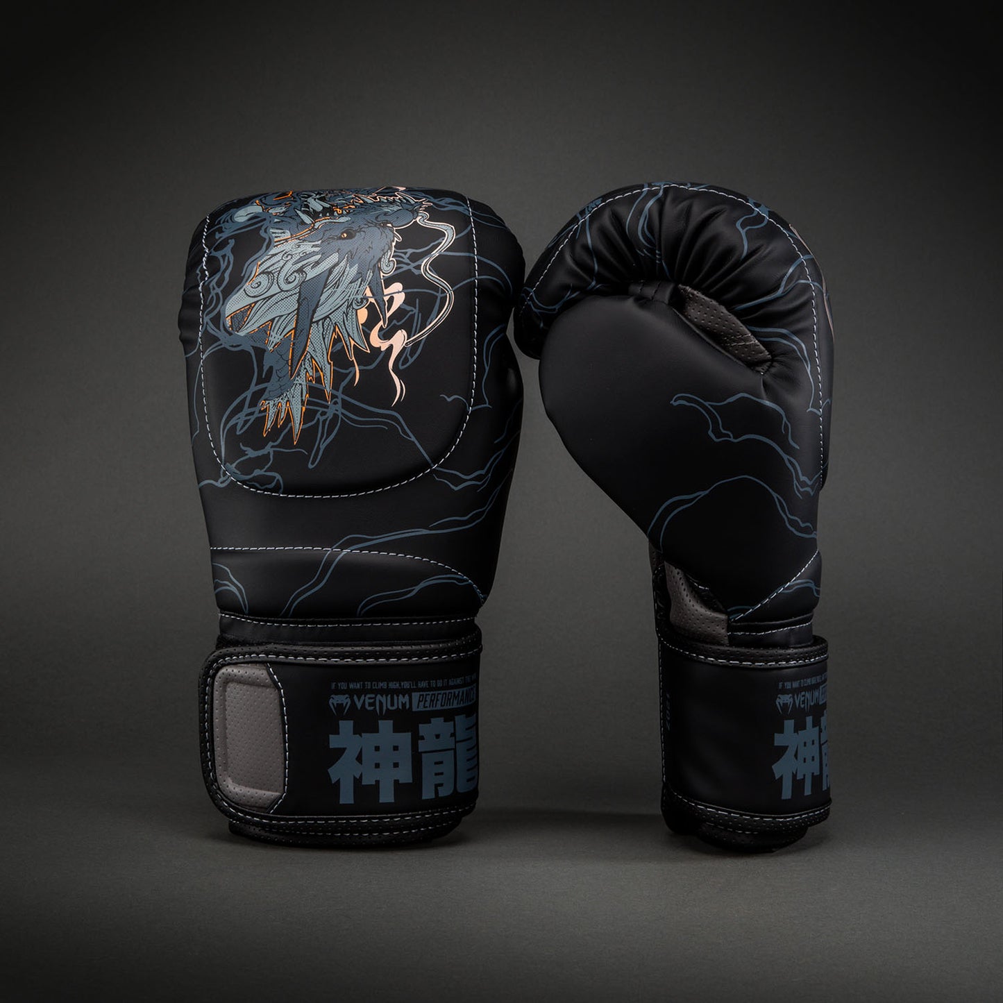 Gants de boxe Venum Thunder Dragon – Noir/Gris/Cuivre - product-type_Gants de boxe