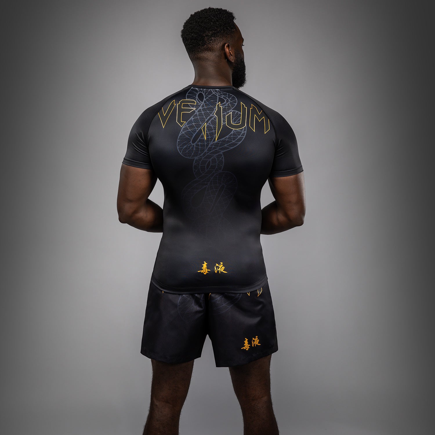 Rashguard Manches Courtes Venum Serpenti – Noir/Argent/Or - product-type_T-Shirts de Compression