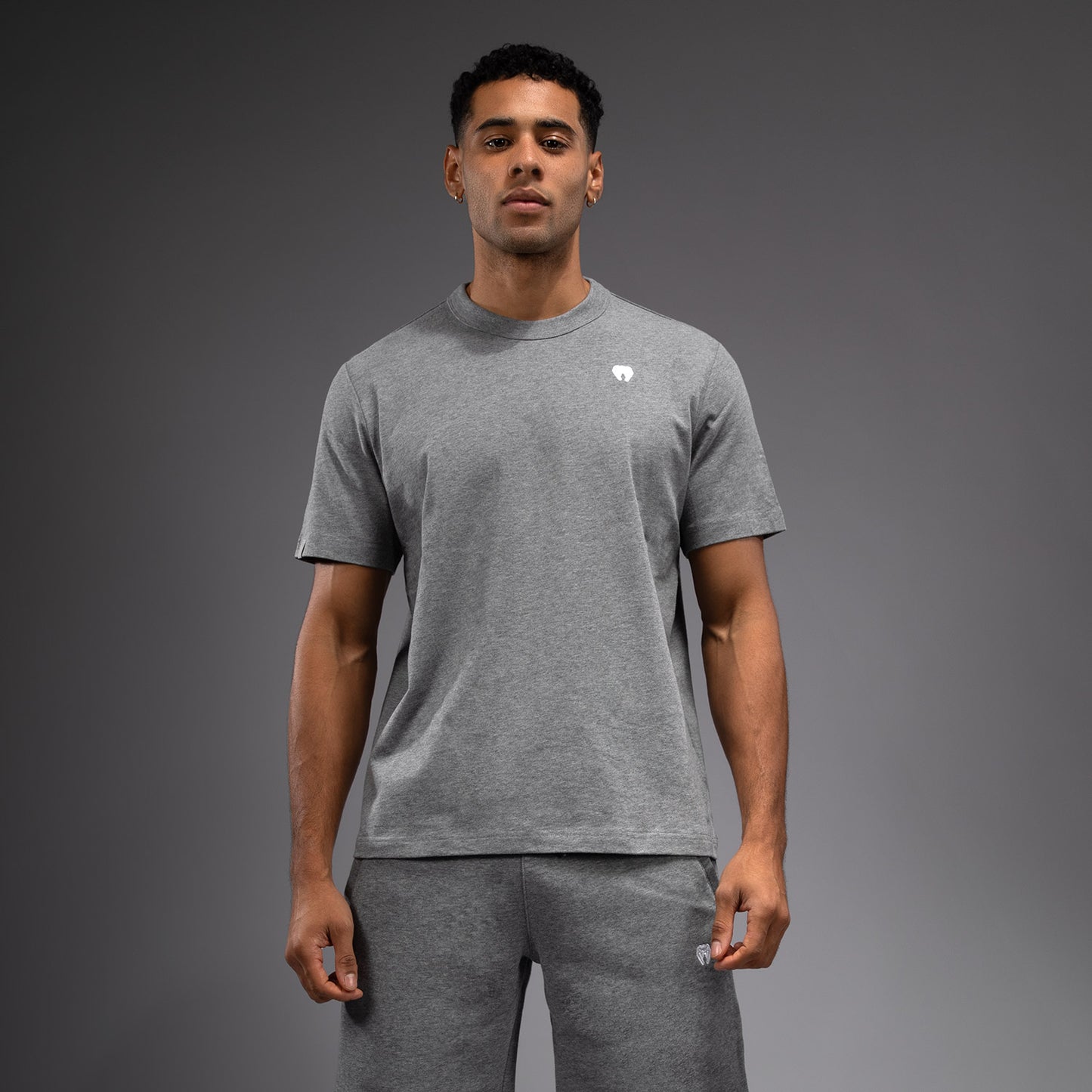T-Shirt Venum Silent Power - Cloudy Grey - product-type_T-Shirts
