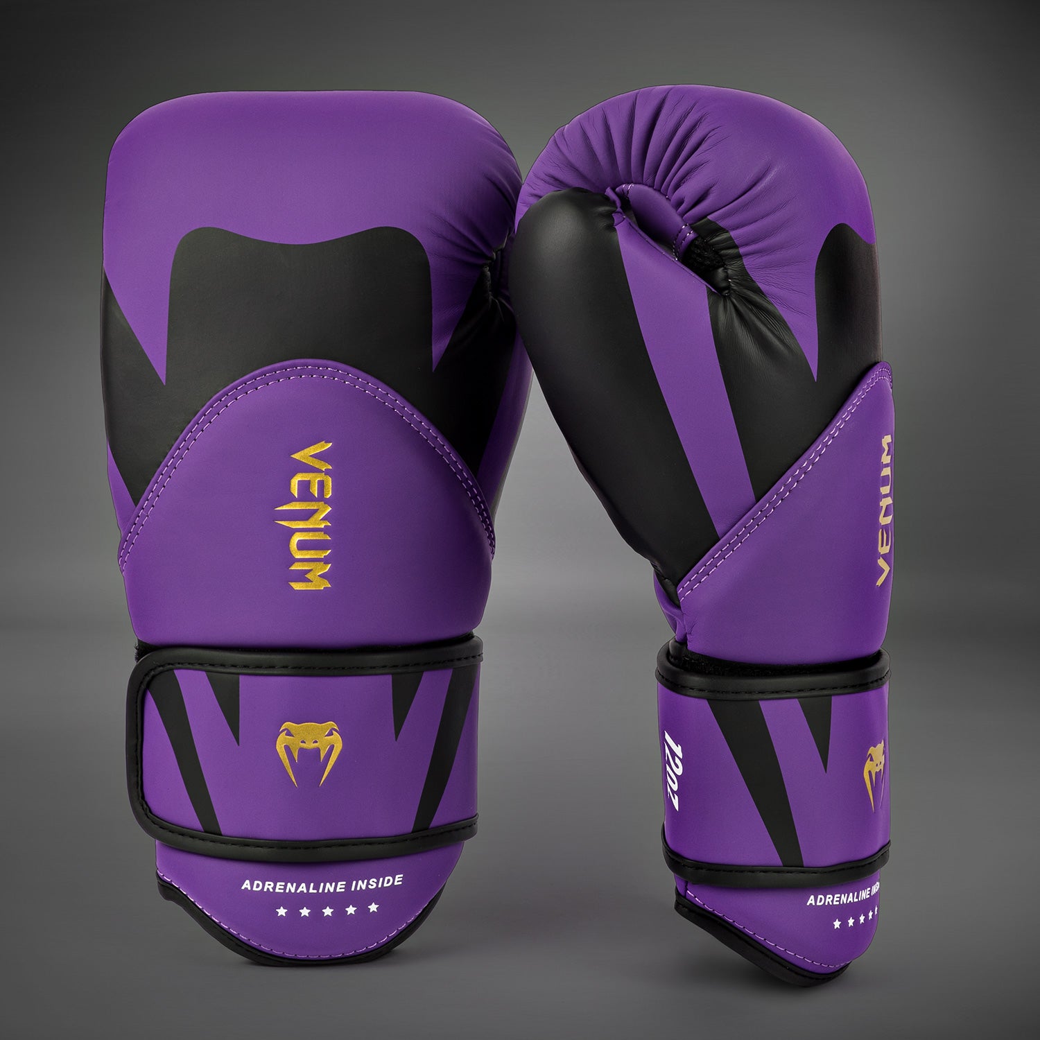 Gants de Boxe Venum Challenger 4.0 - Violet Foncé - product-type_Gants de boxe