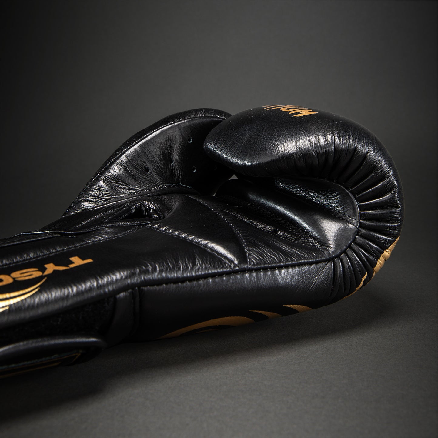 Gants de boxe Venum Giant 2.0 Mike Tyson Pro – Noir/Or - product-type_Gants de boxe