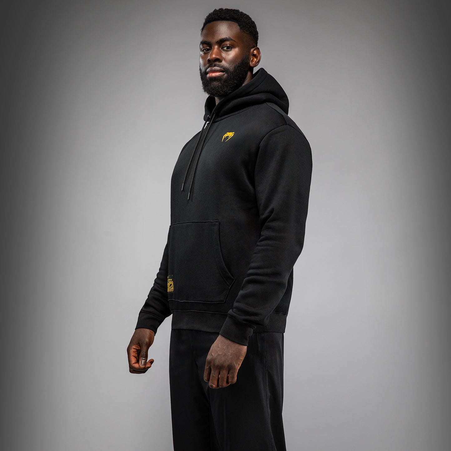 Sweat à Capuche Venum Serpenti – Noir/Argent/Or - product-type_Sweatshirts
