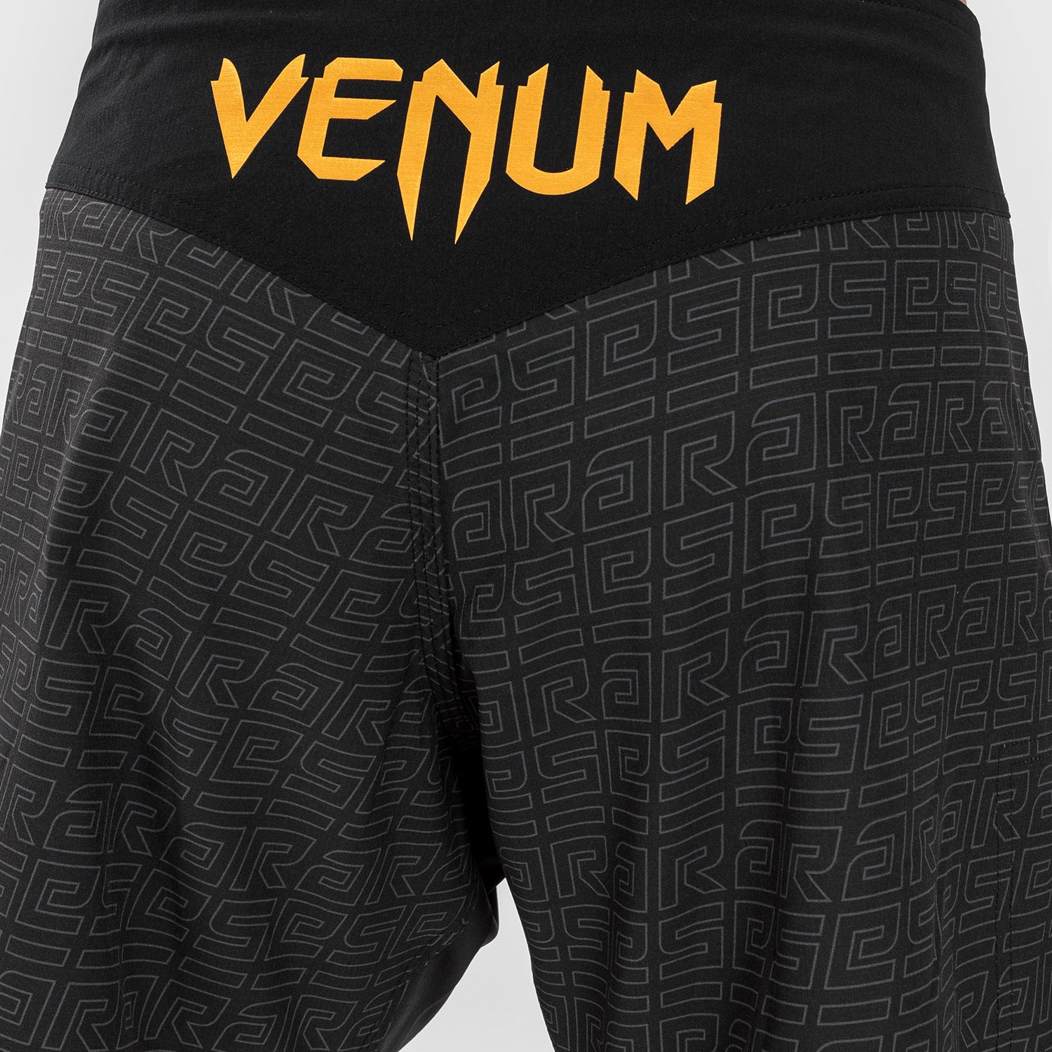 Short de combat pour Hommes Venum x Ares - Noir/Doré - product-type_Shorts de MMA