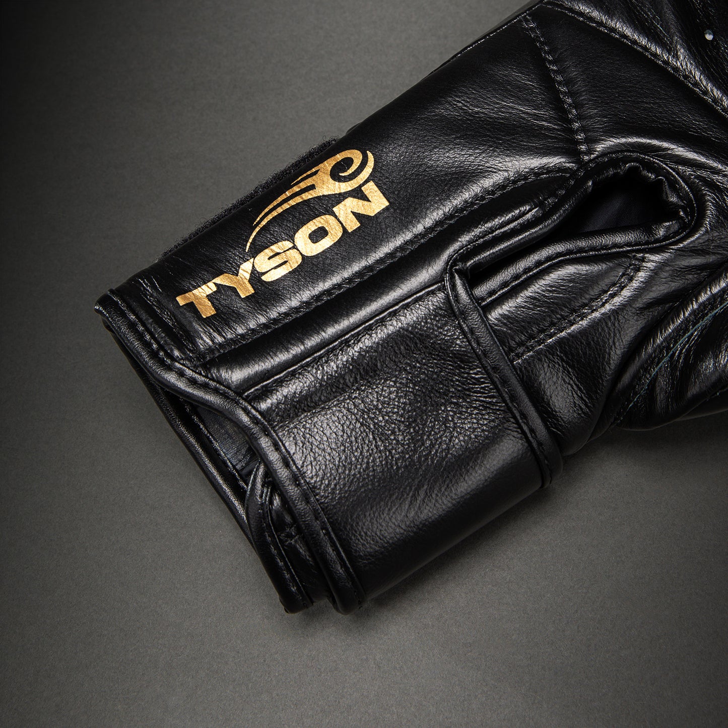 Gants de boxe Venum Giant 2.0 Mike Tyson Pro – Noir/Or - product-type_Gants de boxe