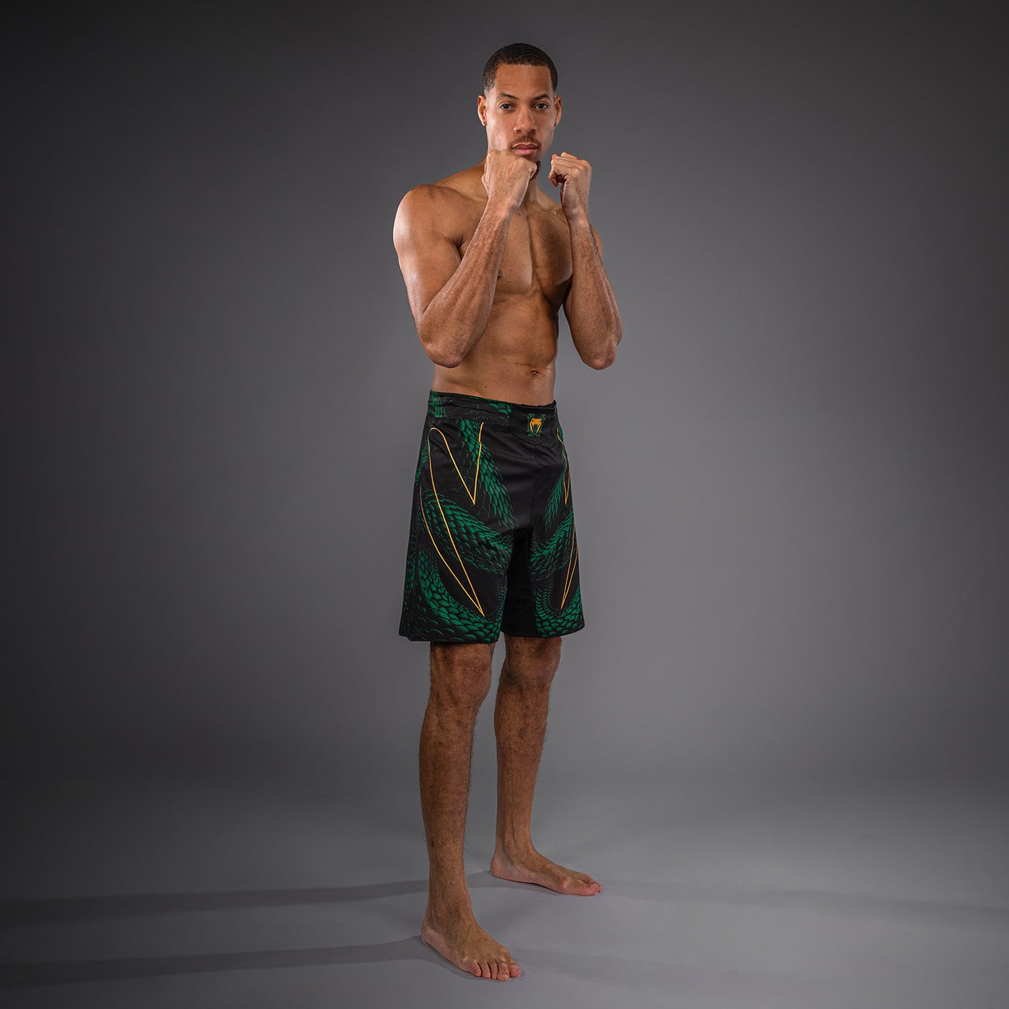 Short de Combat Venum Matupa - Noir/Vert/Or - product-type_Shorts de MMA
