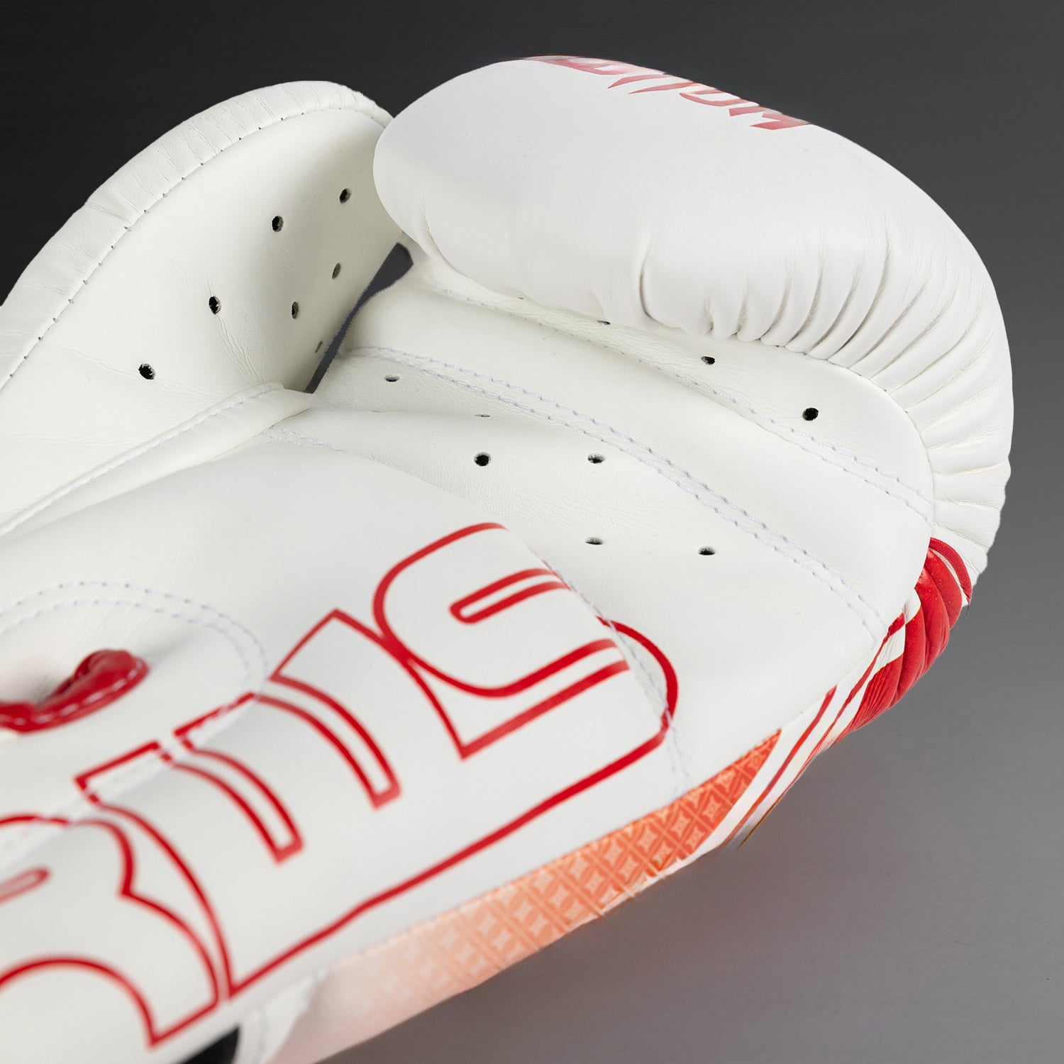 Gants de Boxe Venum x RWS 2.0 – Blanc/Rouge - product-type_Gants de boxe