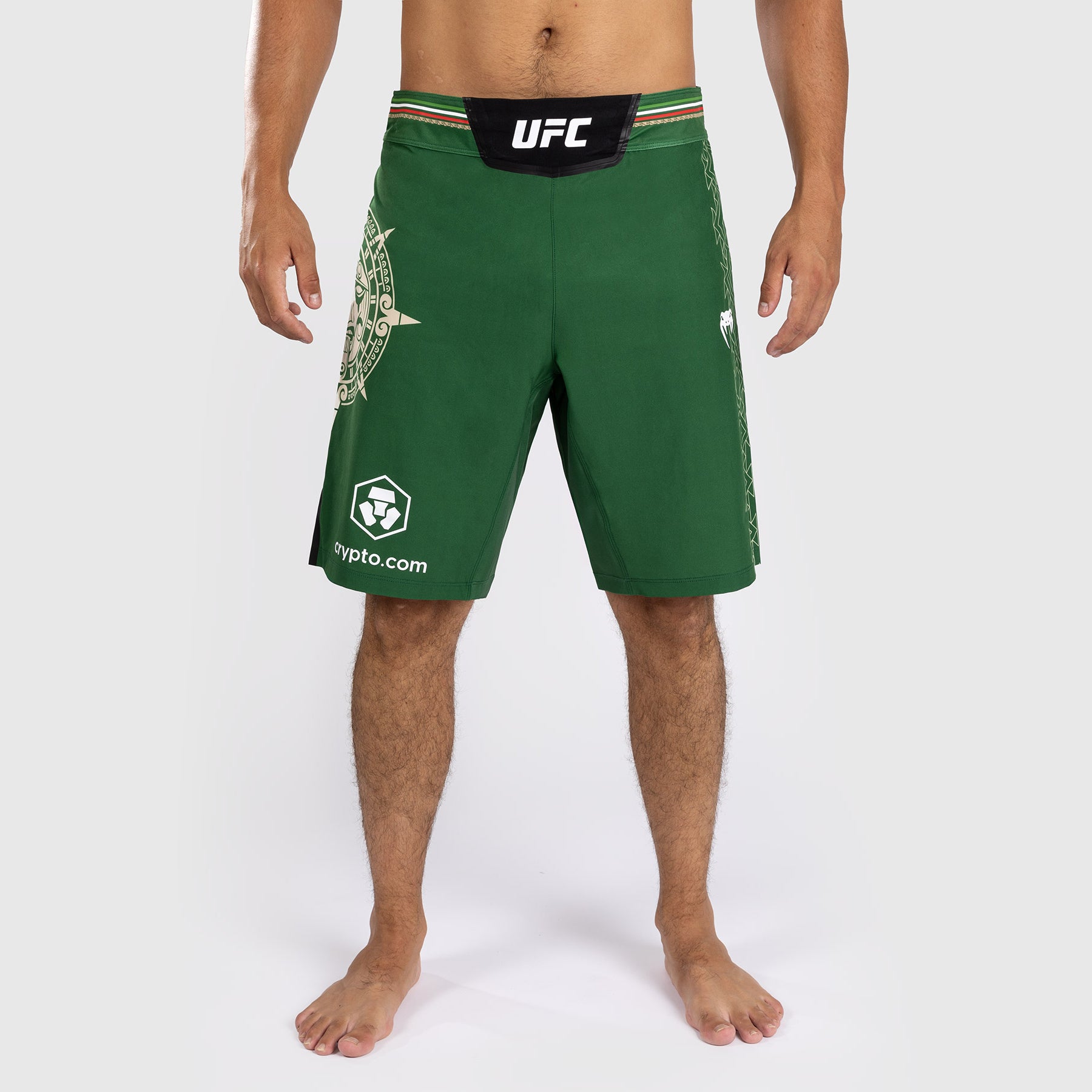 Noche UFC by Venum Authentic Fight Night Short de Combat pour homme - Coupe Longue - Vert - product-type_Shorts de MMA