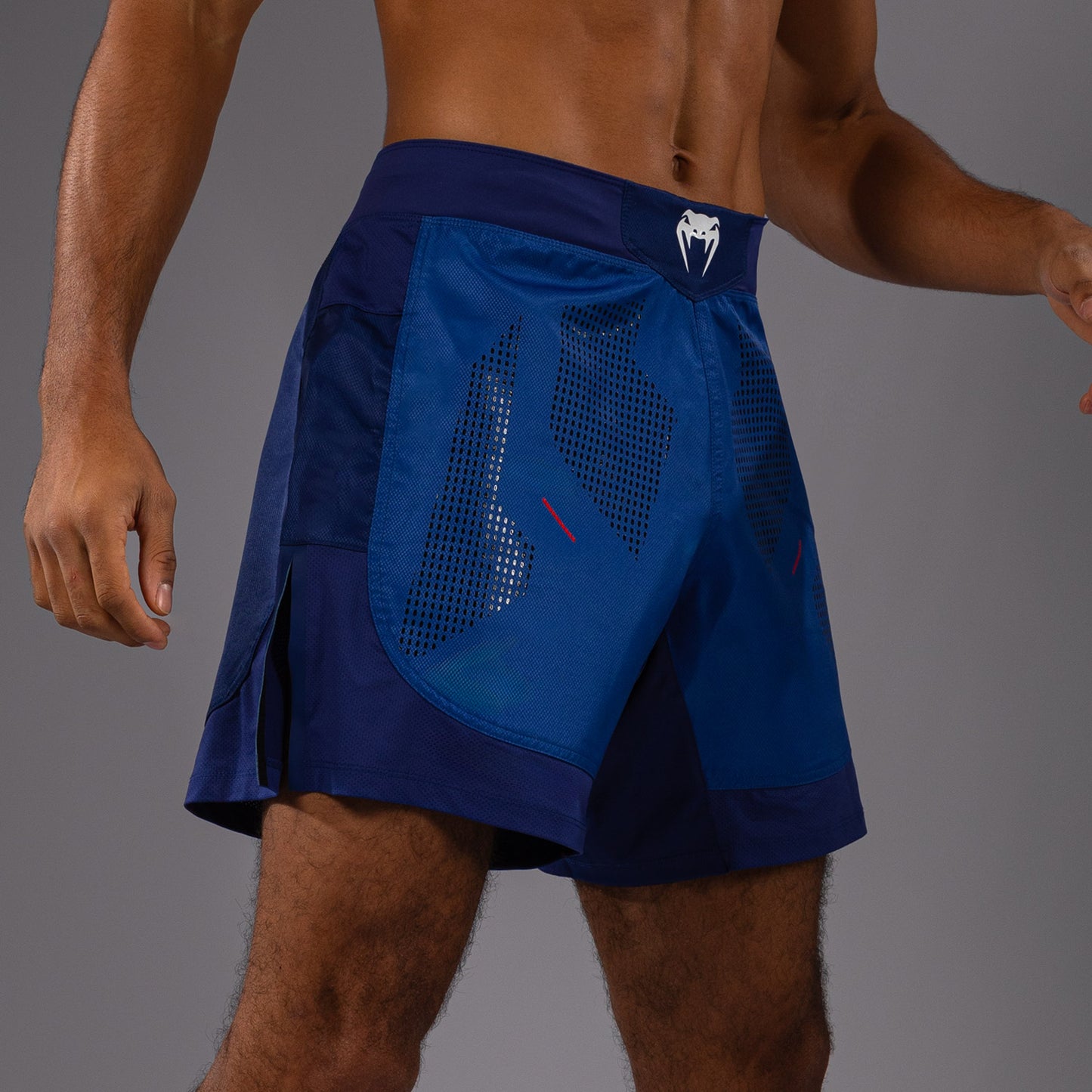 Short de Combat Venum Technical 3.0 - Bleu Nuit - product-type_Shorts de MMA