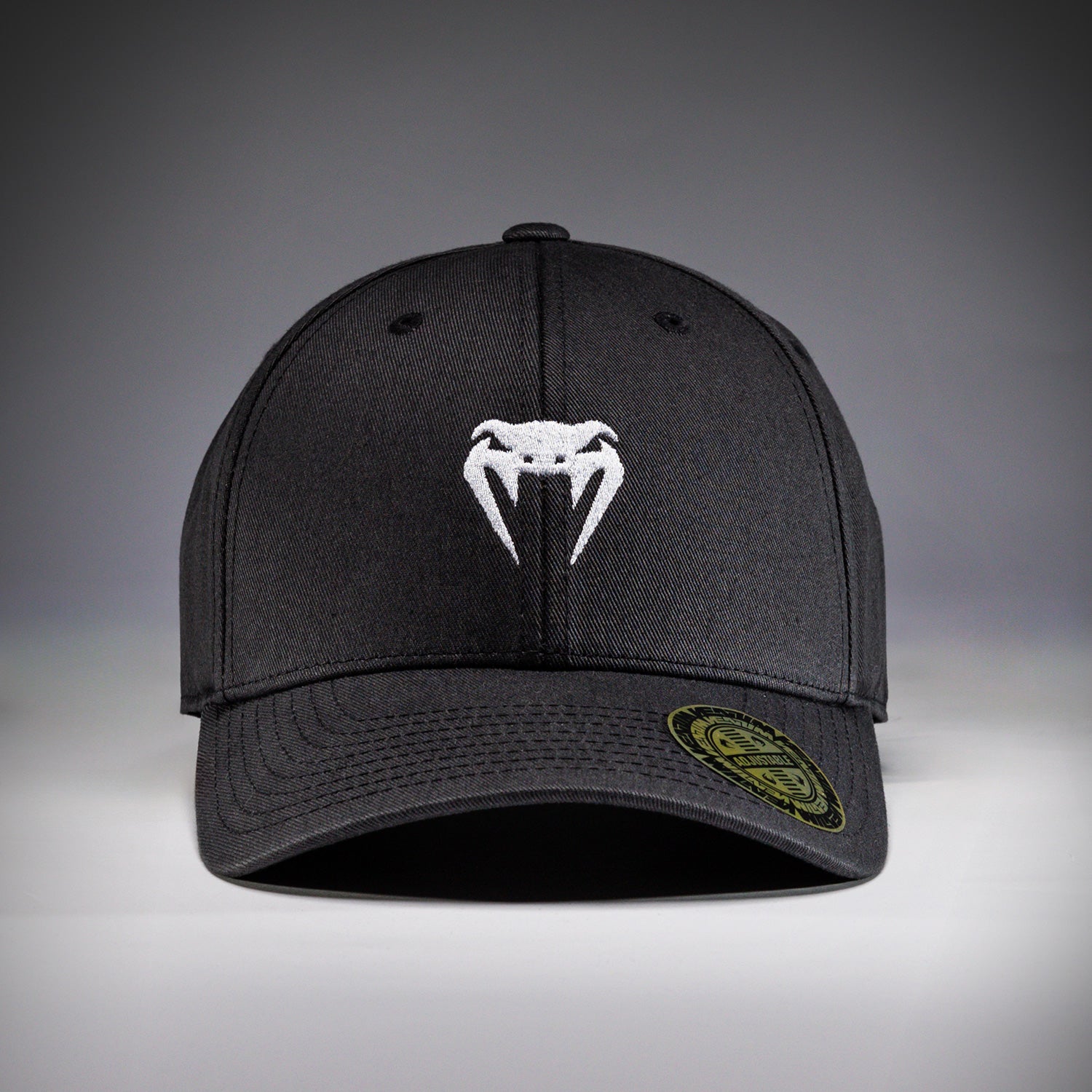 Casquette Venum Classic 2.0 - Noir - product-type_Casquettes
