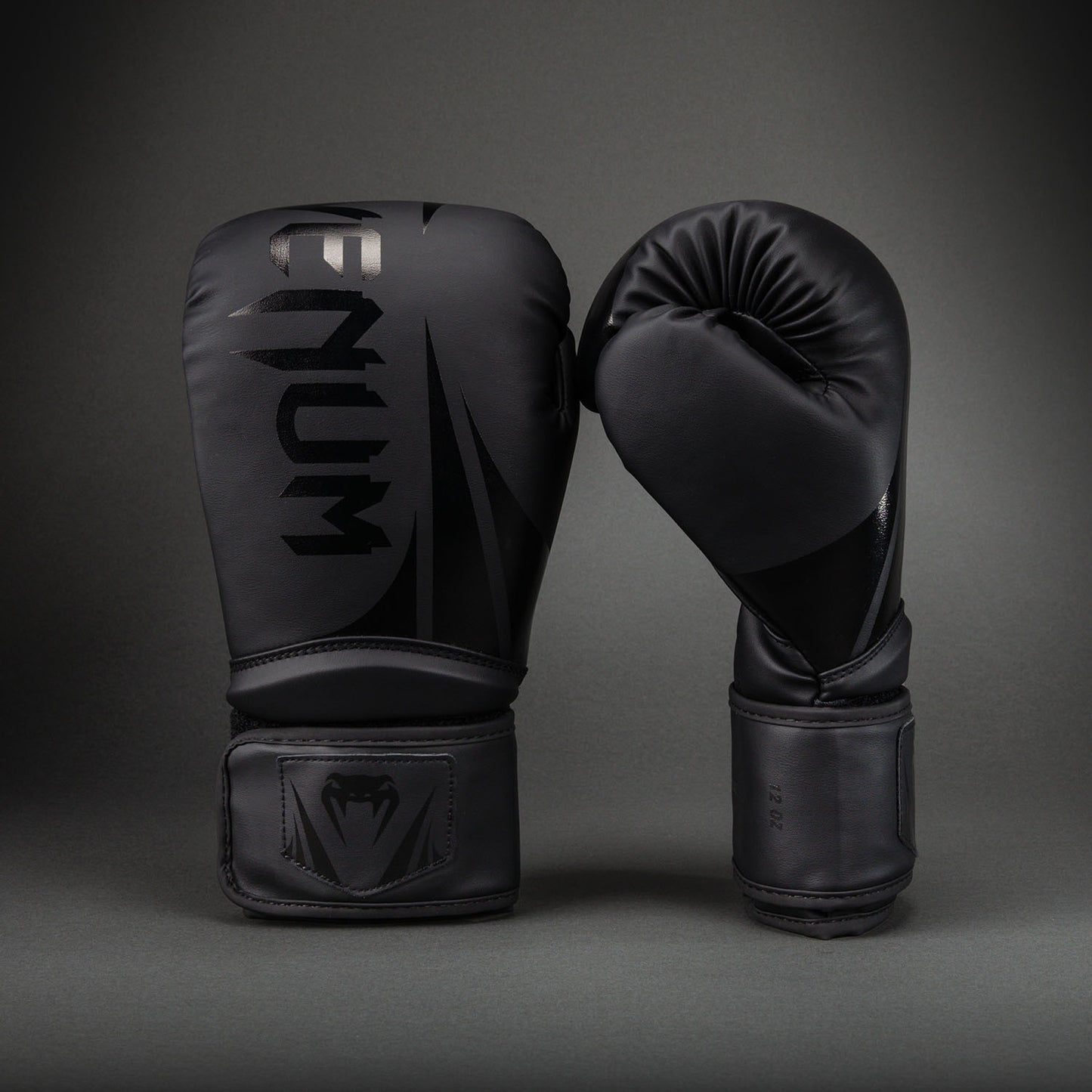 Gants de Boxe Venum Challenger 2.5 – Noir/Noir