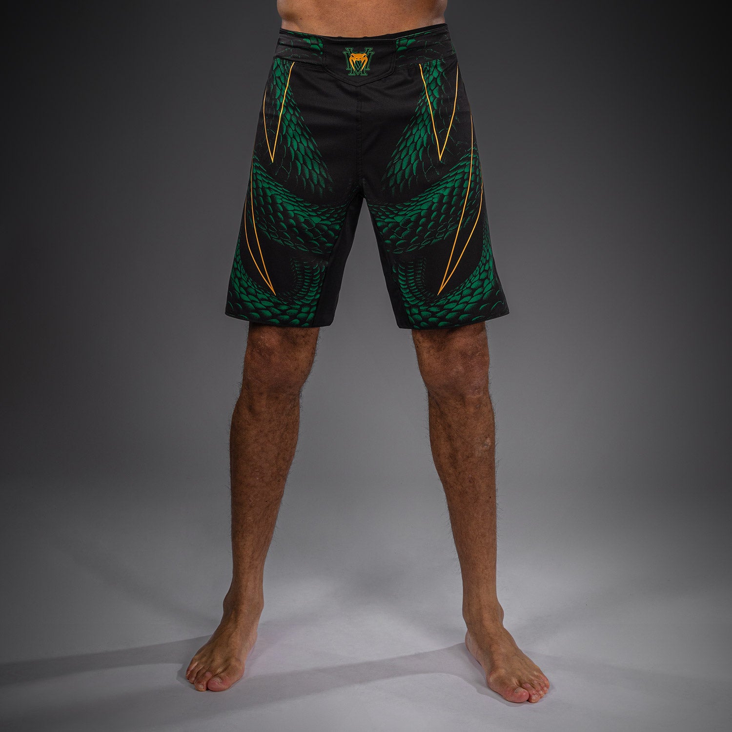 Short de Combat Venum Matupa - Noir/Vert/Or - product-type_Shorts de MMA