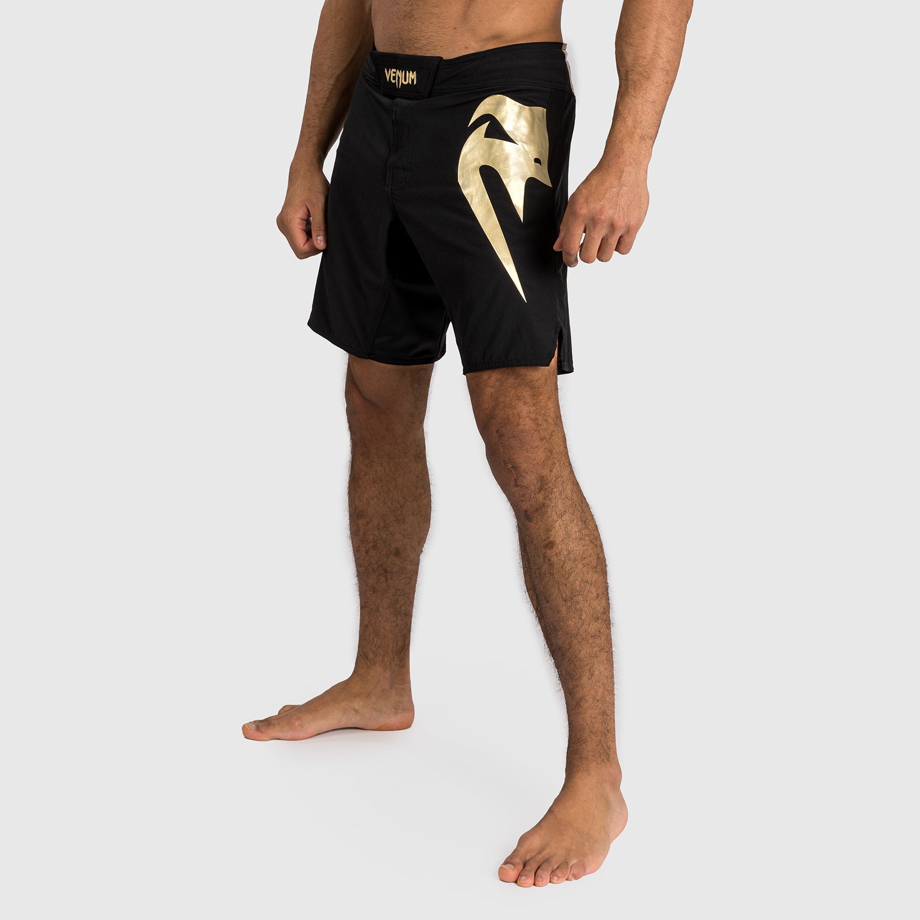 Shorts de combat Venum Light 5.0 - Noir/Or - product-type_Shorts de MMA