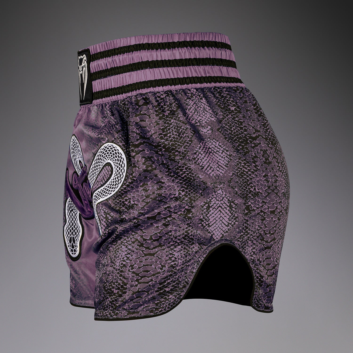 Shorts de Muay Thai pour Femmes Venum Amazonia - Violet - product-type_Shorts de Muay Thai