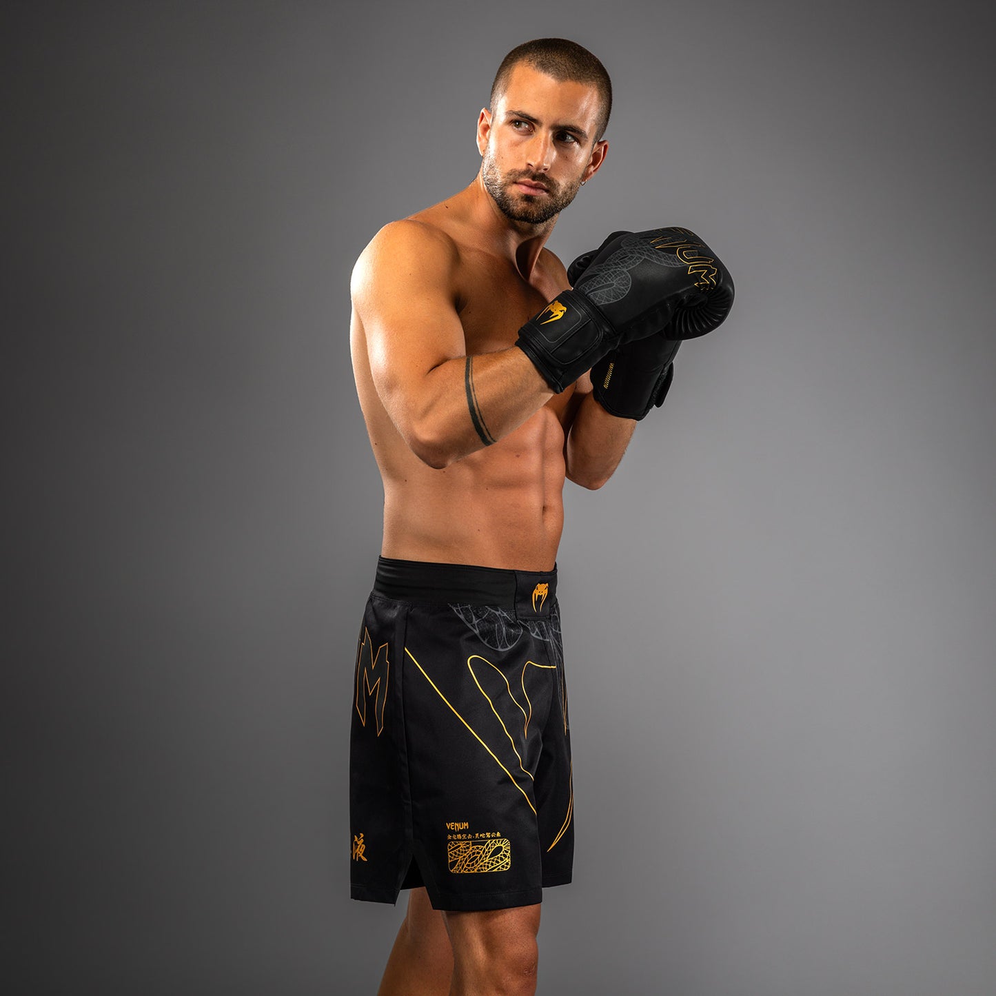 Short de Combat Venum Serpenti – Noir/Argent/Or - product-type_Shorts de MMA