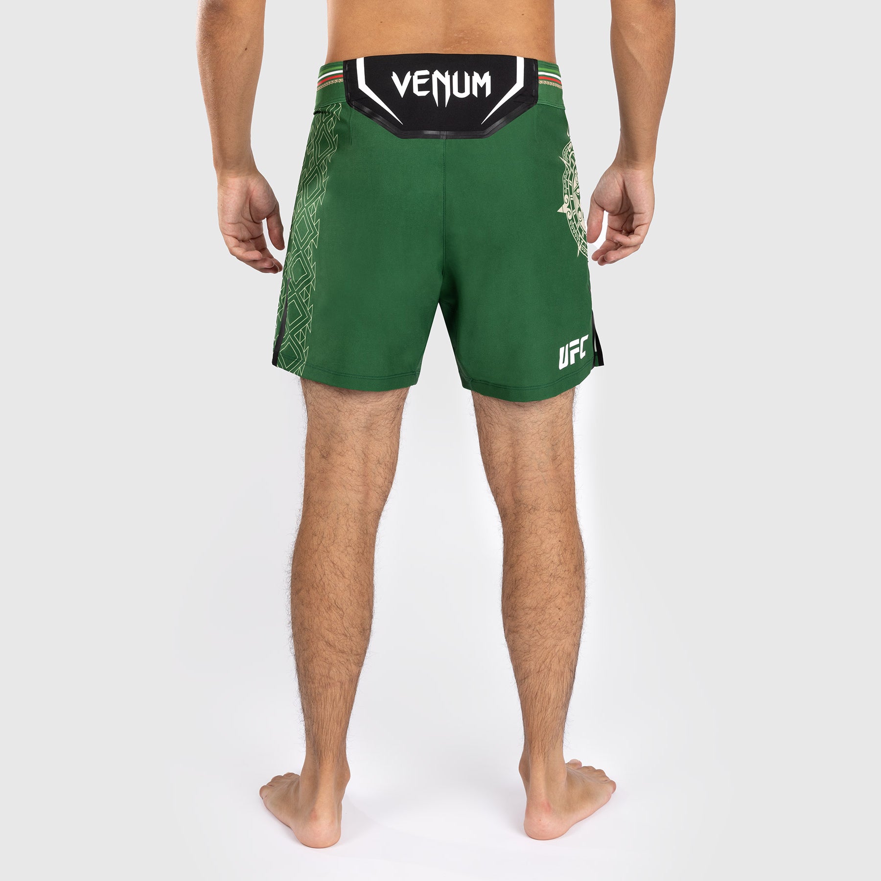 Noche UFC by Venum Authentic Fight Night Short de Combat pour homme - Coupe Courte - Vert - product-type_Shorts de MMA