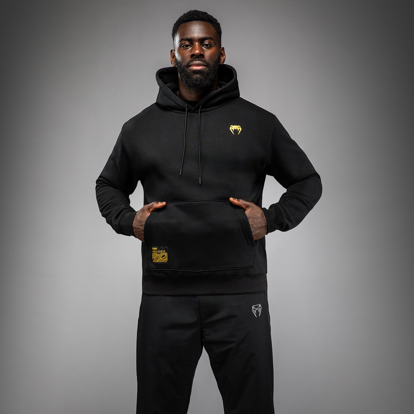 Sweat à Capuche Venum Serpenti – Noir/Argent/Or - product-type_Sweatshirts