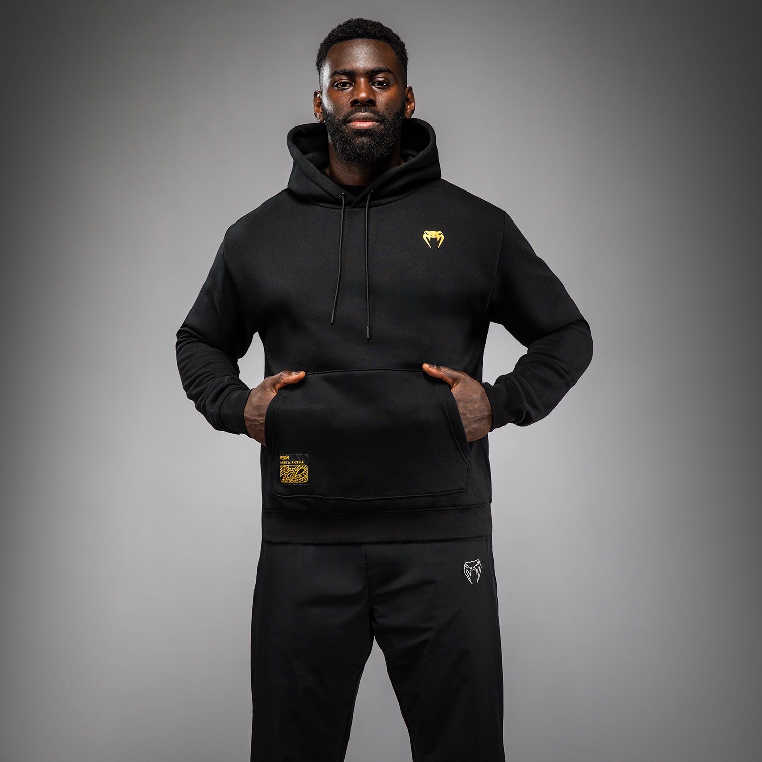 Sweat à Capuche Venum Serpenti – Noir/Argent/Or - product-type_Sweatshirts