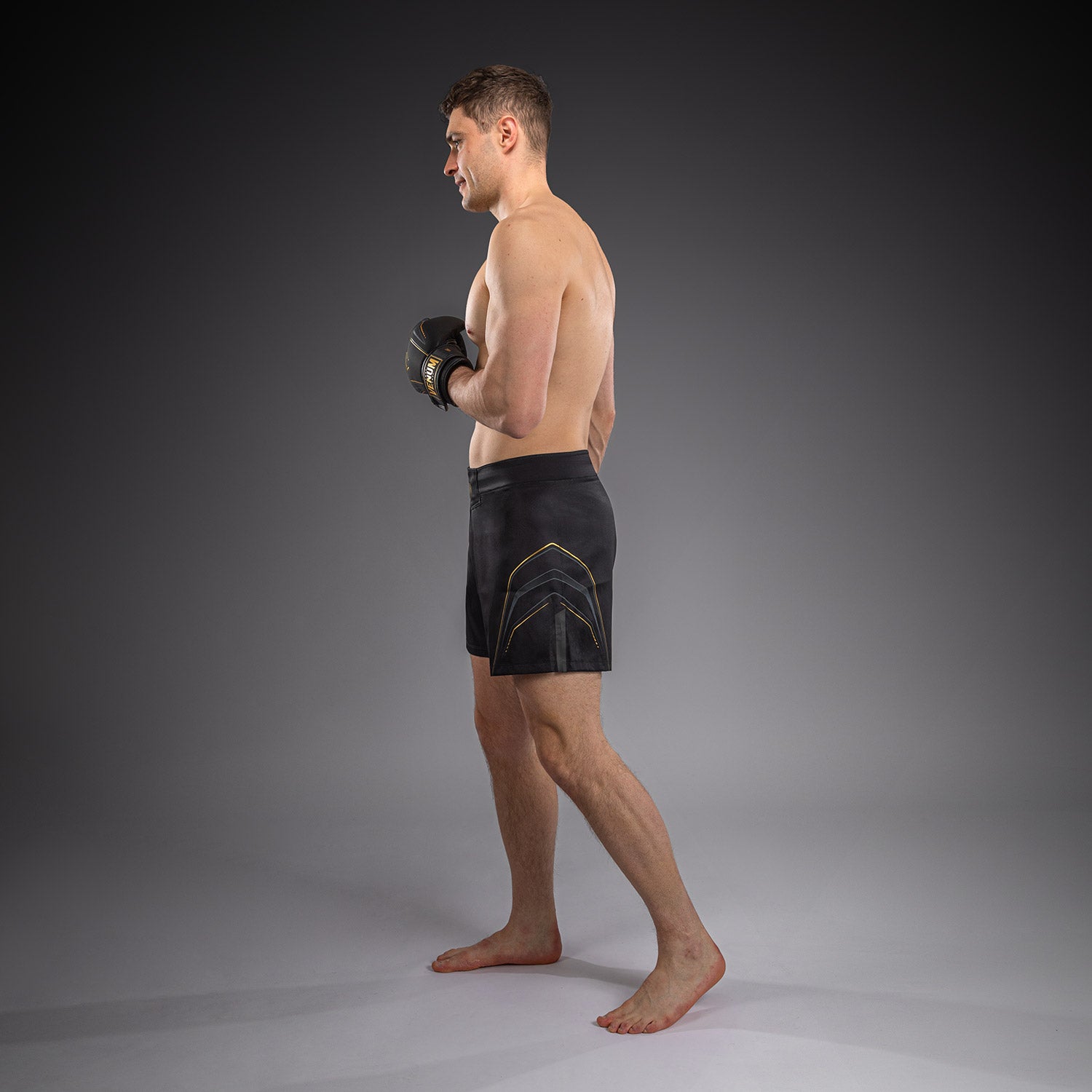Short de Combat Venum Streamline – Noir/Or - product-type_Shorts de MMA