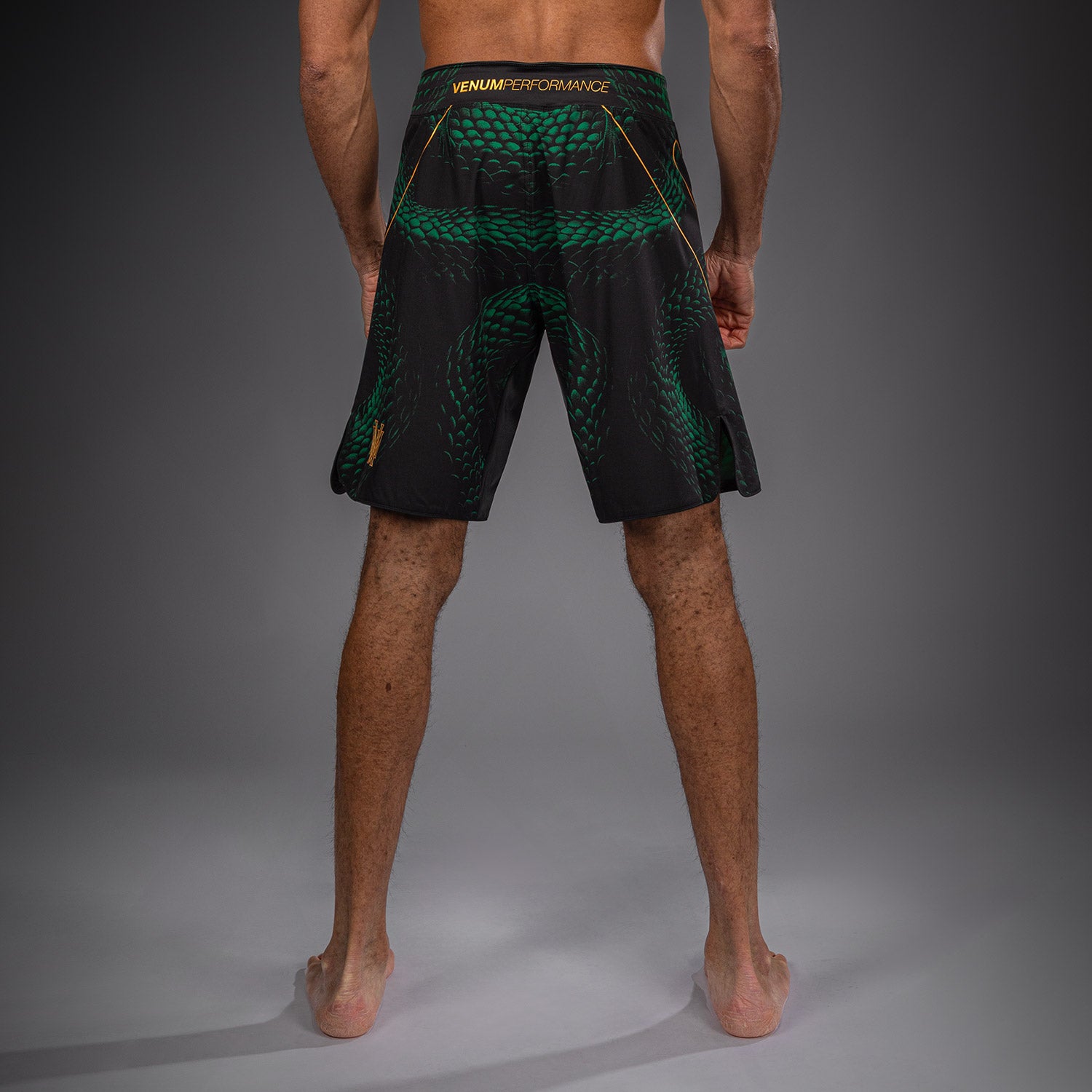 Short de Combat Venum Matupa - Noir/Vert/Or - product-type_Shorts de MMA