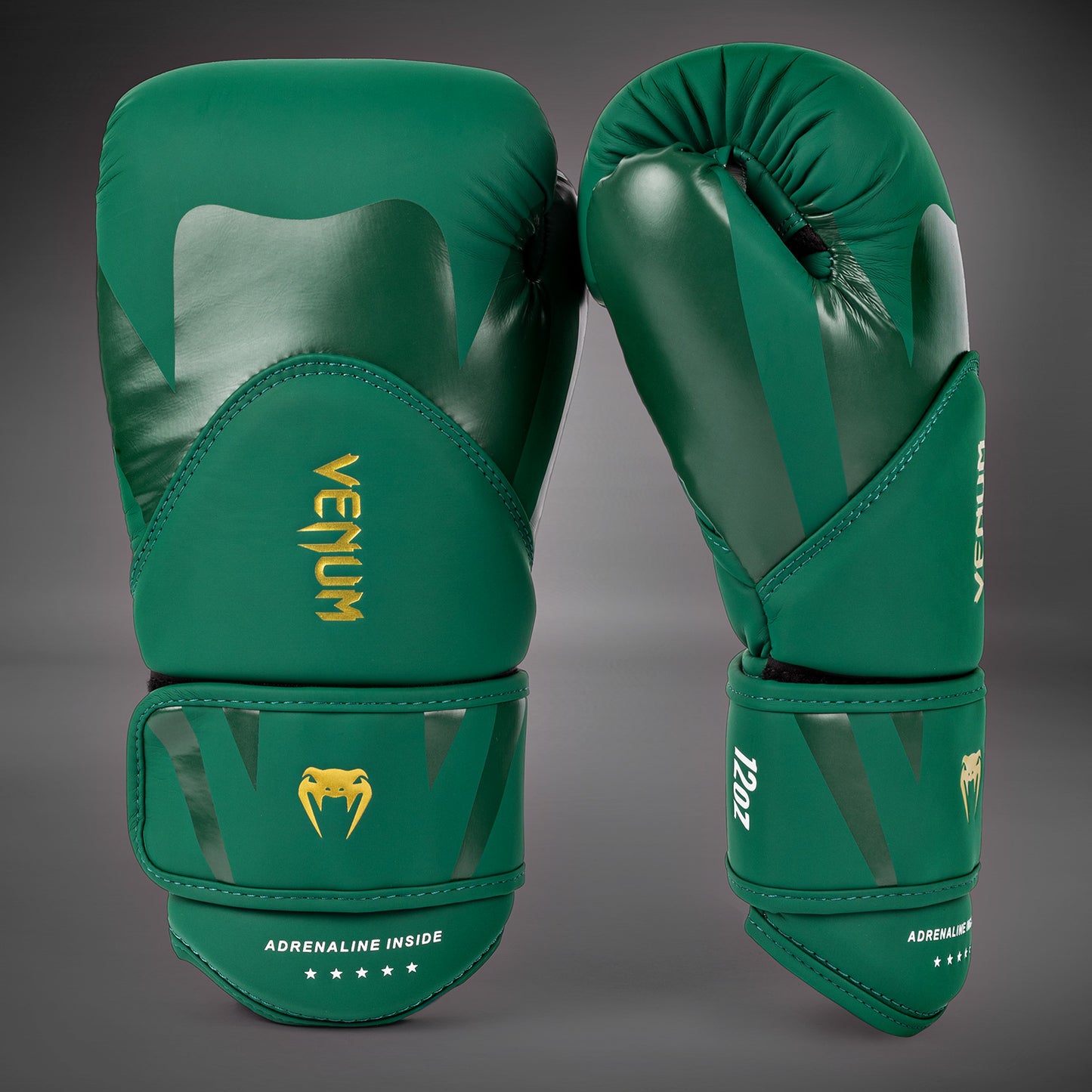 Gants de Boxe Venum Challenger 4.0 - Vert - product-type_Gants de boxe