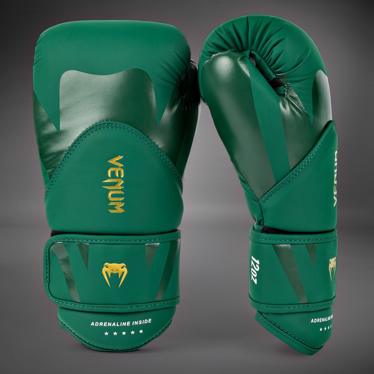 Gants de Boxe Venum Challenger 4.0 - Vert - product-type_Gants de boxe