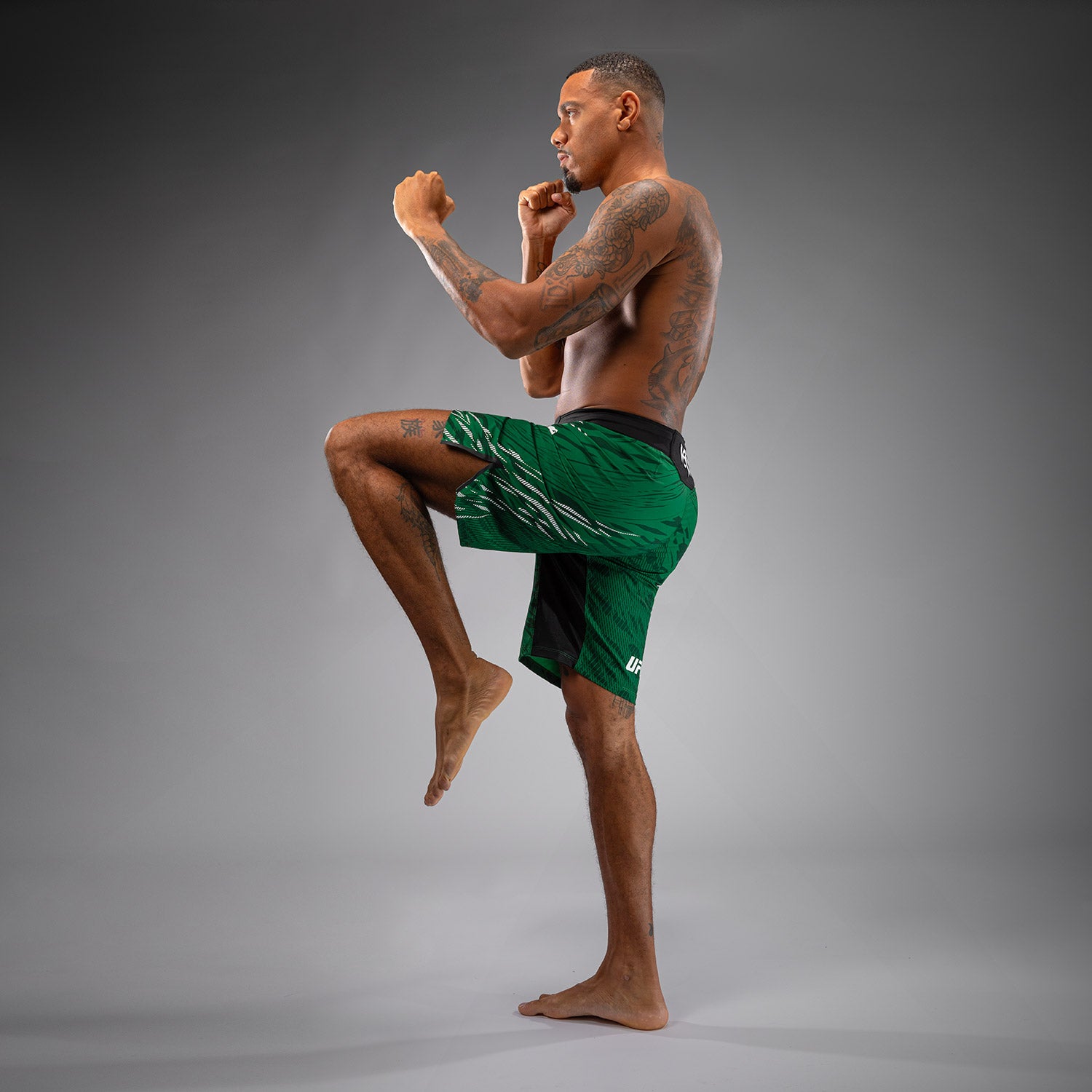 Shorts de Combat pour Hommes UFC Fusion by Venum Authentic Fight Night - Coupe Longue - Vert - product-type_Shorts de MMA