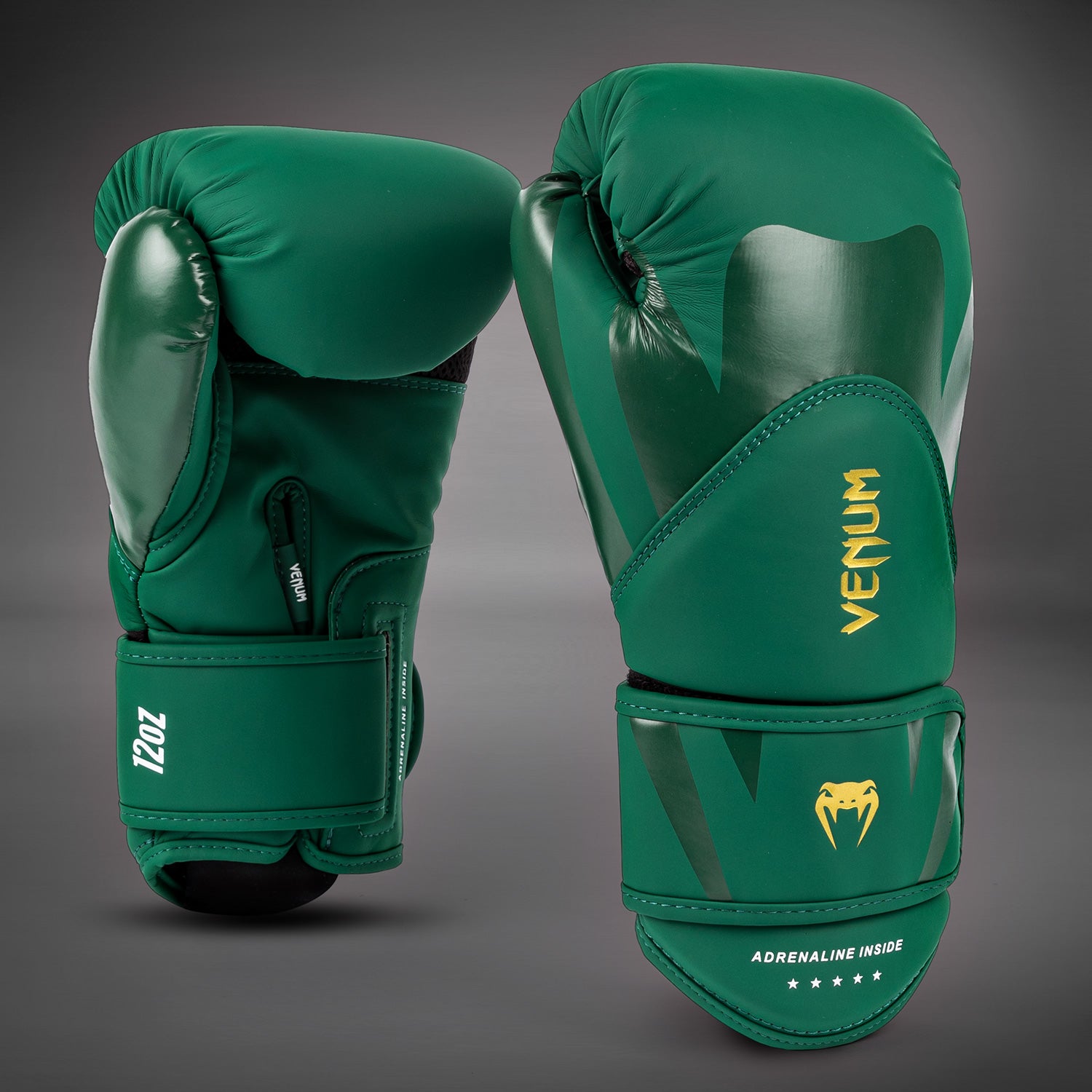 Gants de Boxe Venum Challenger 4.0 - Vert - product-type_Gants de boxe