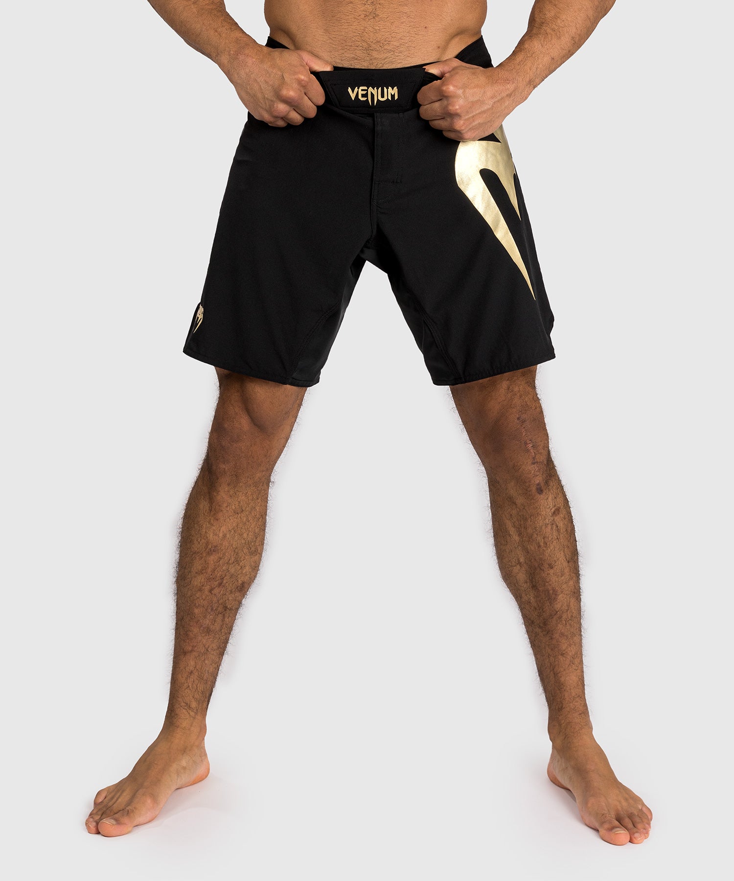 Shorts de combat Venum Light 5.0 - Noir/Or - product-type_Shorts de MMA