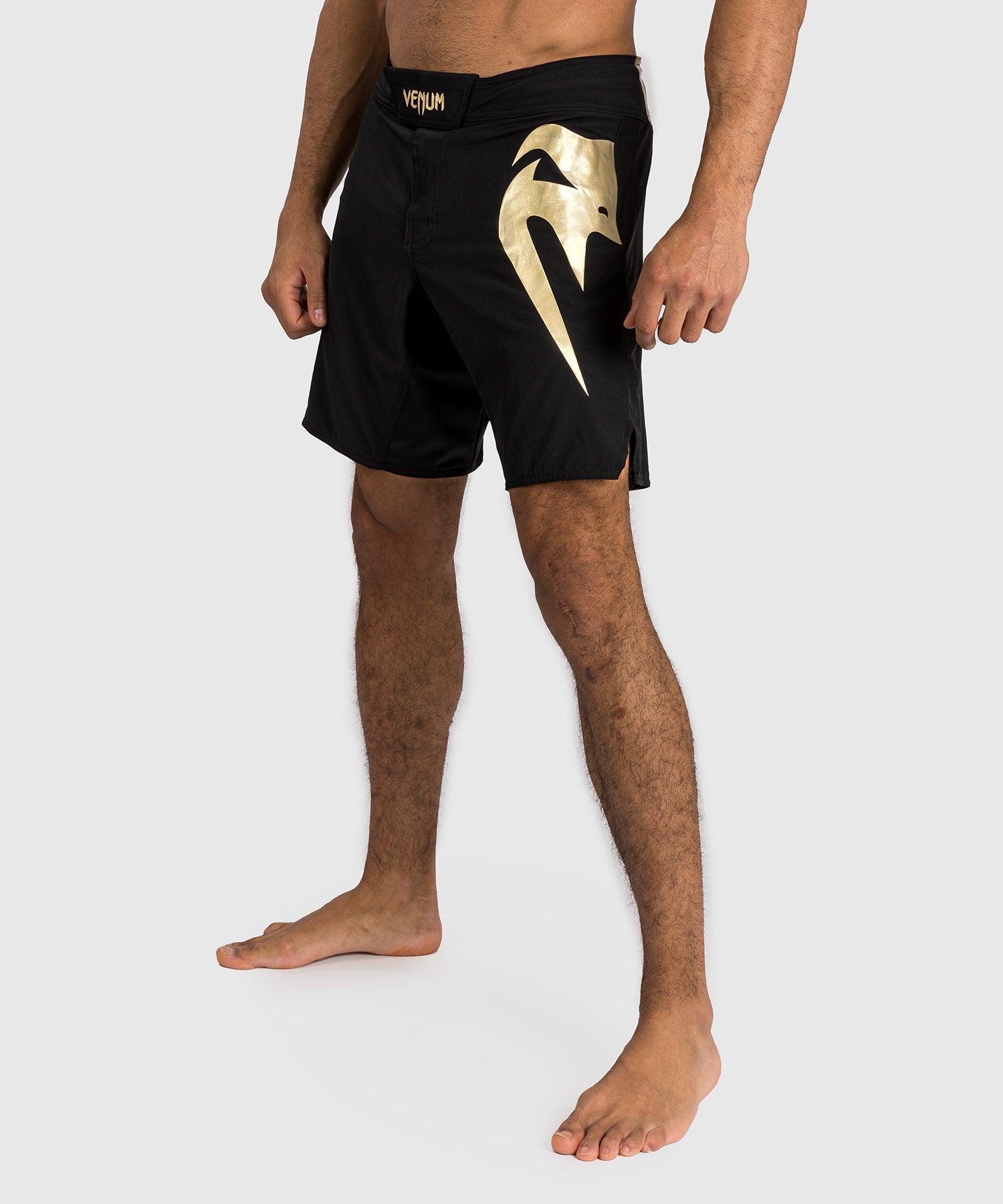 Shorts de combat Venum Light 5.0 - Noir/Or - product-type_Shorts de MMA