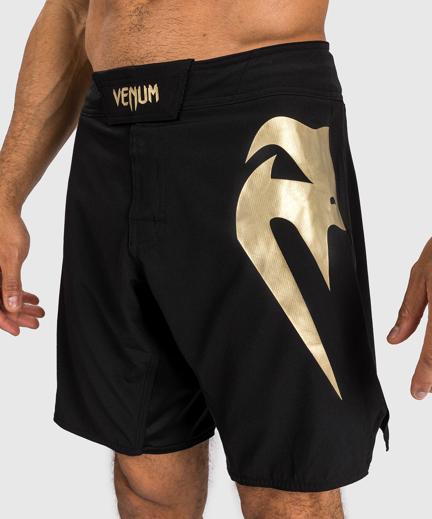 Shorts de combat Venum Light 5.0 - Noir/Or - product-type_Shorts de MMA