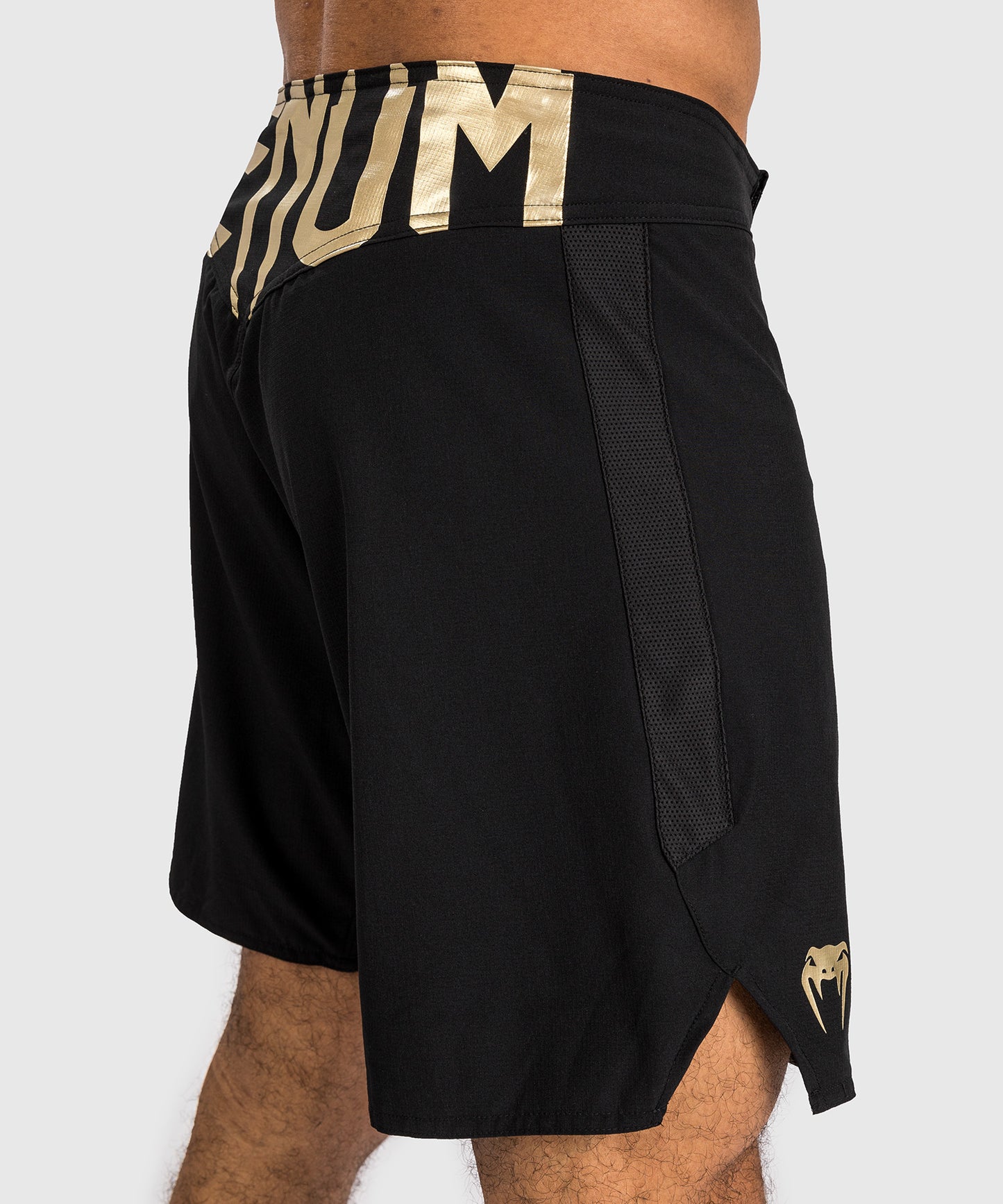 Shorts de combat Venum Light 5.0 - Noir/Or - product-type_Shorts de MMA