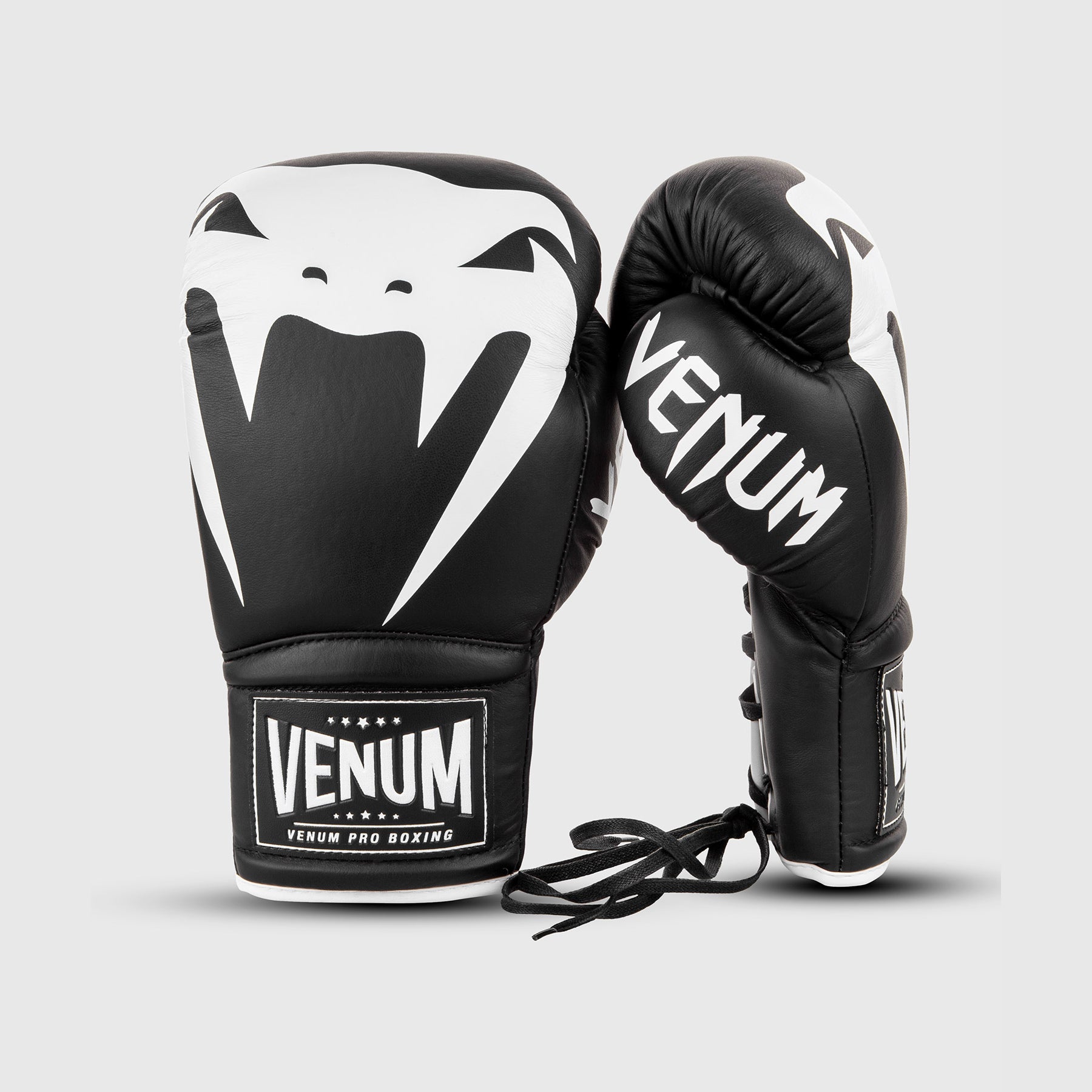 Gants de Boxe Pro Venum Giant 2.0 - Avec Lacets - product-type_Gants de boxe